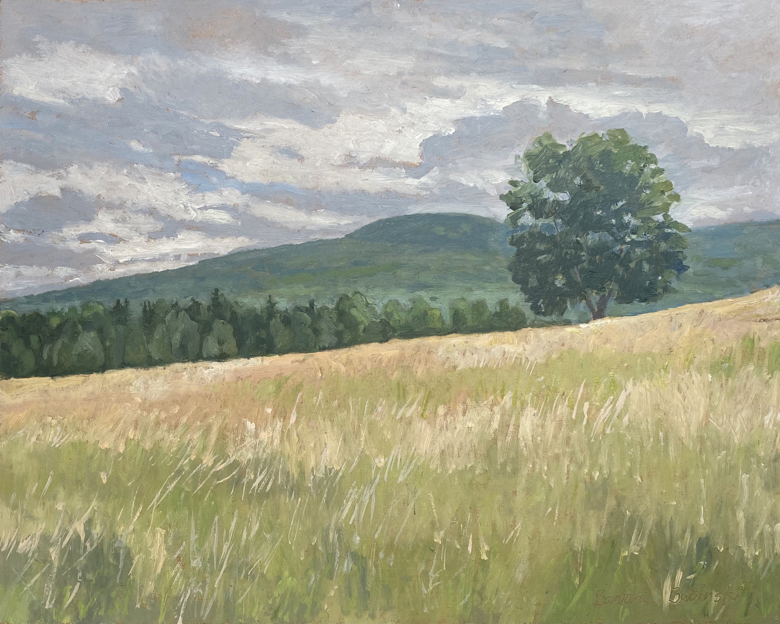 Fields on Woodard
8in x 10in oil on panel