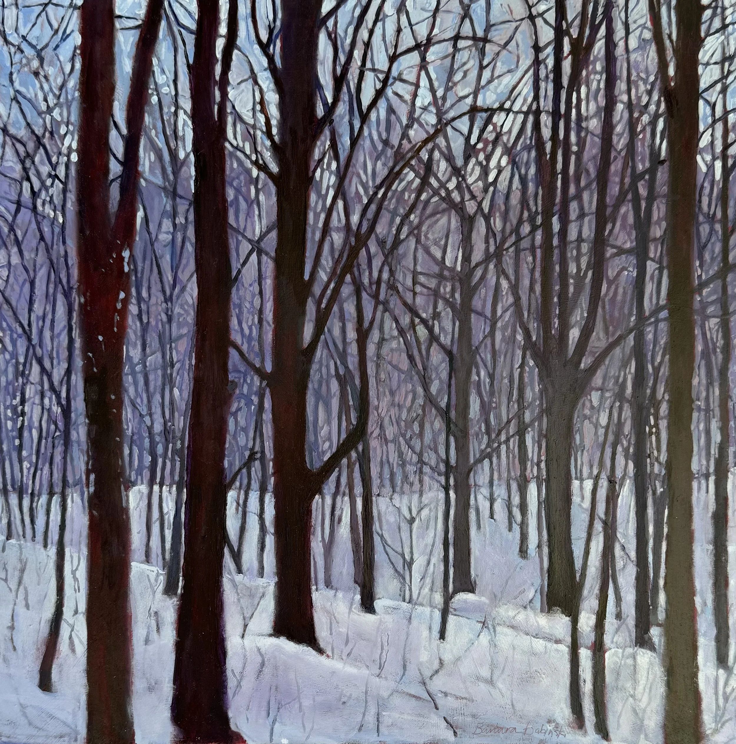 Winter in the Woods.jpeg