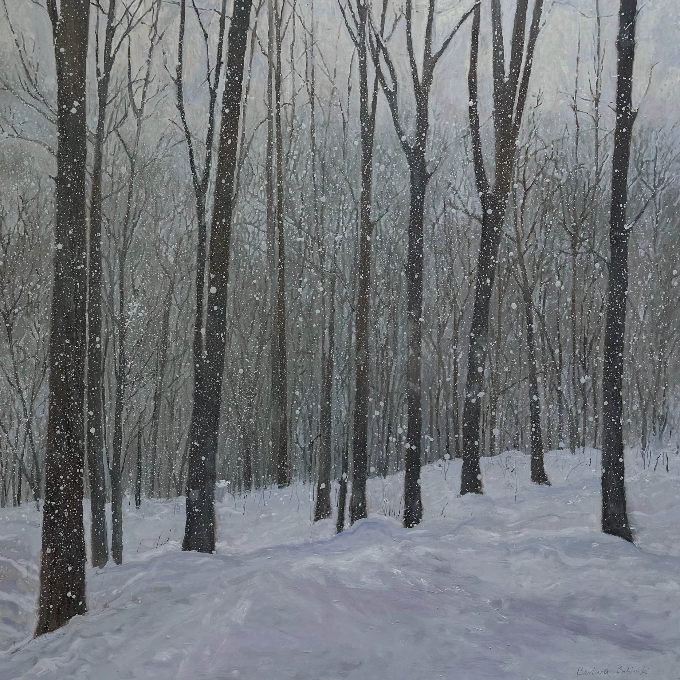 Snowstorm at the Sugarbush.jpeg