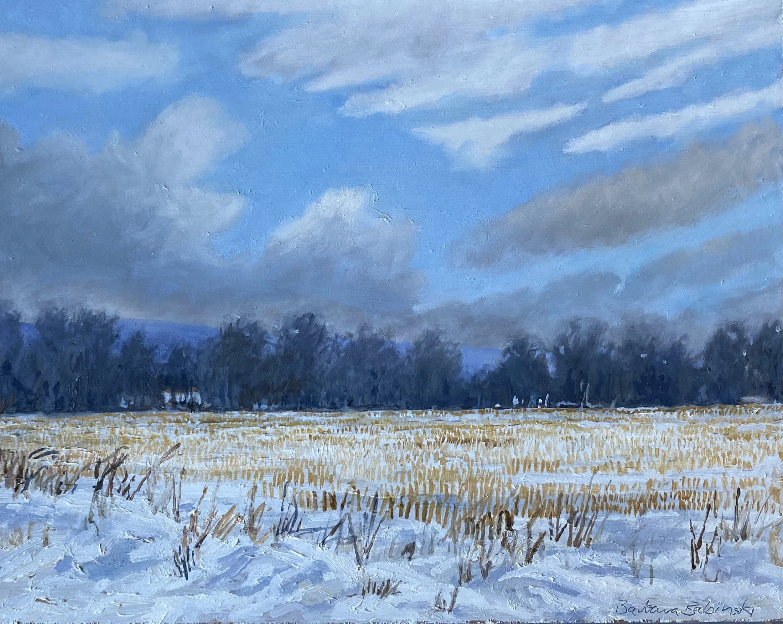 Corn Field in Winter.jpeg