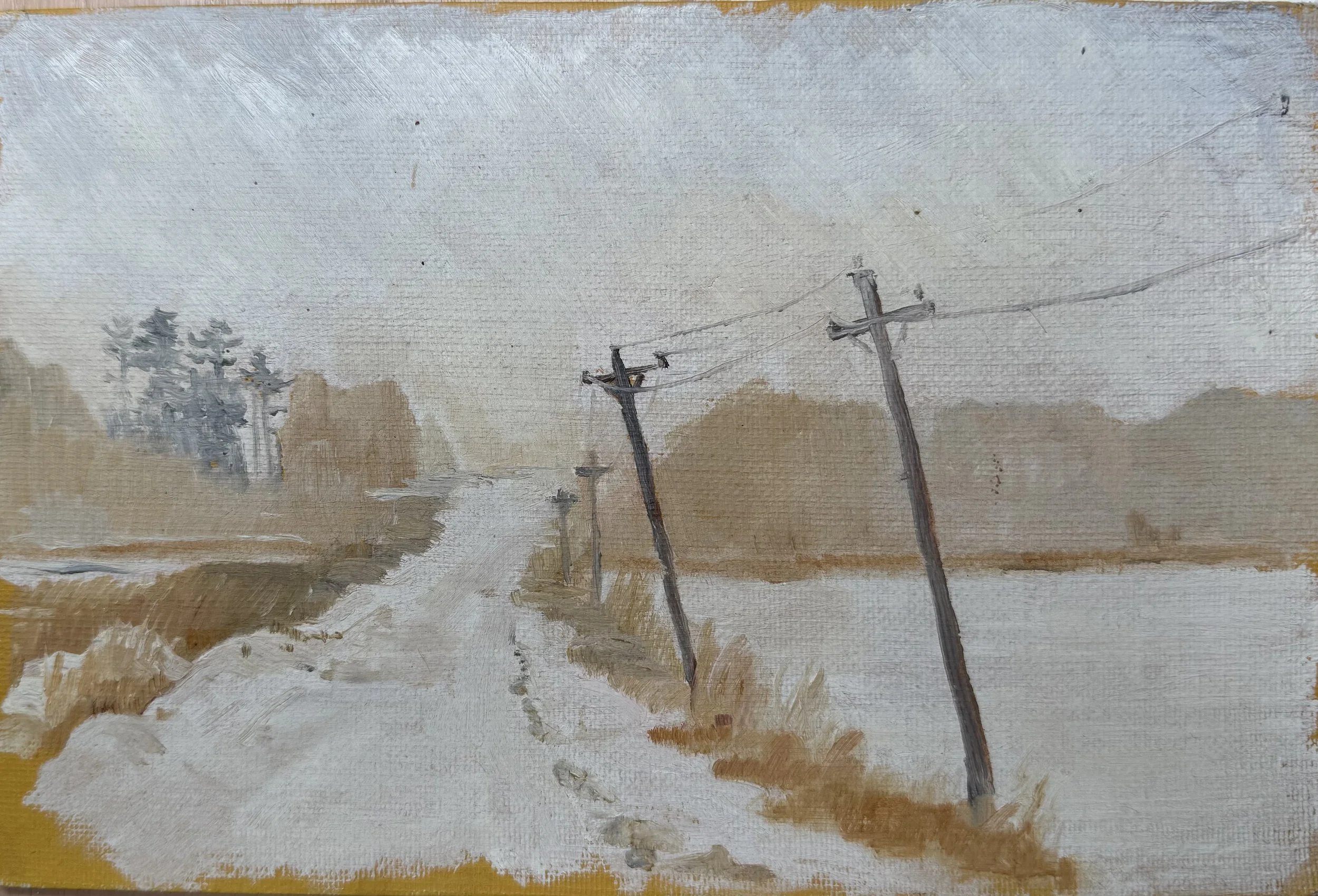 Tweddle Road Petrie Island in a snow storm.jpeg