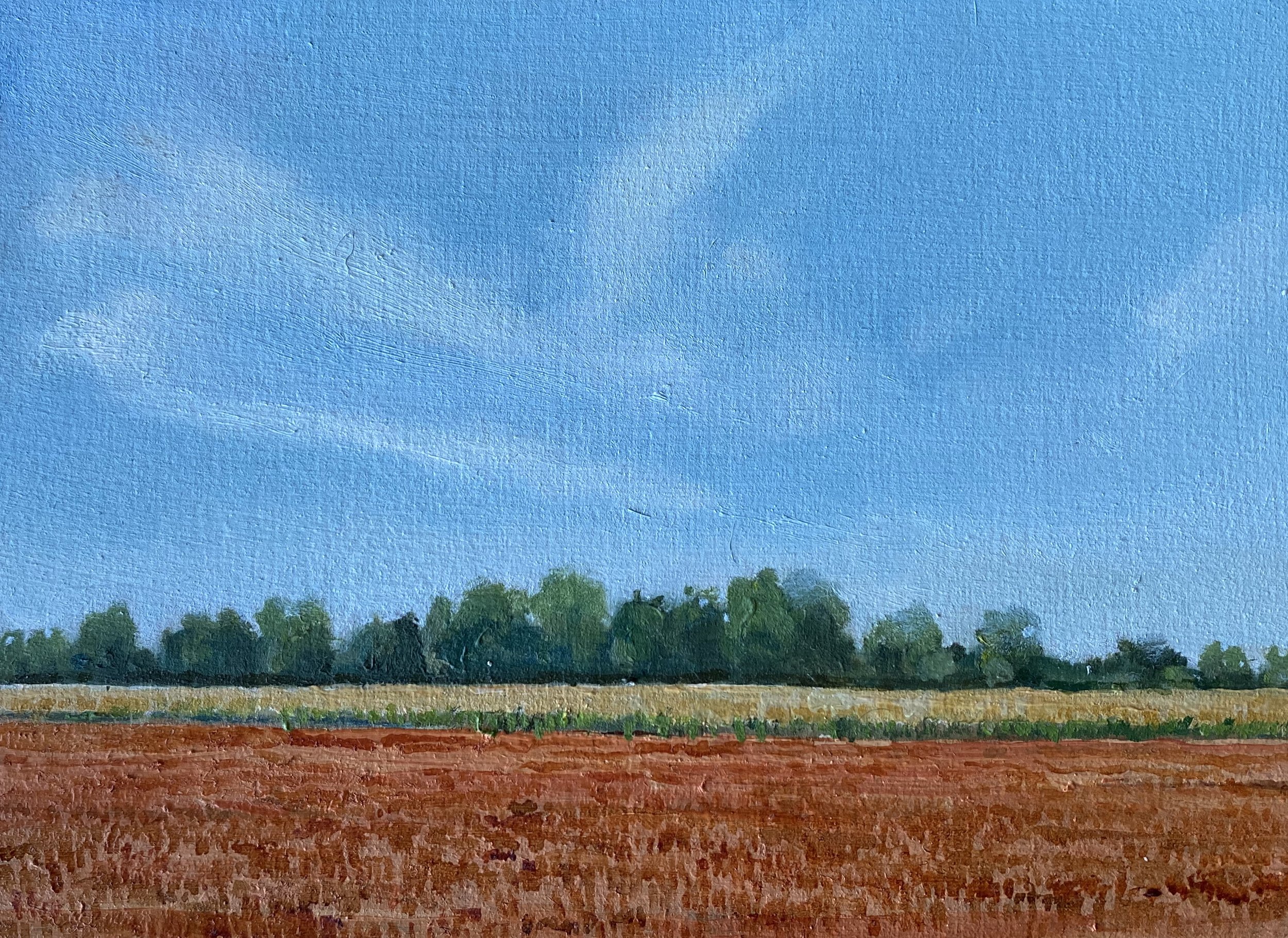 Soy Field in September
5in x 7in oil on panel