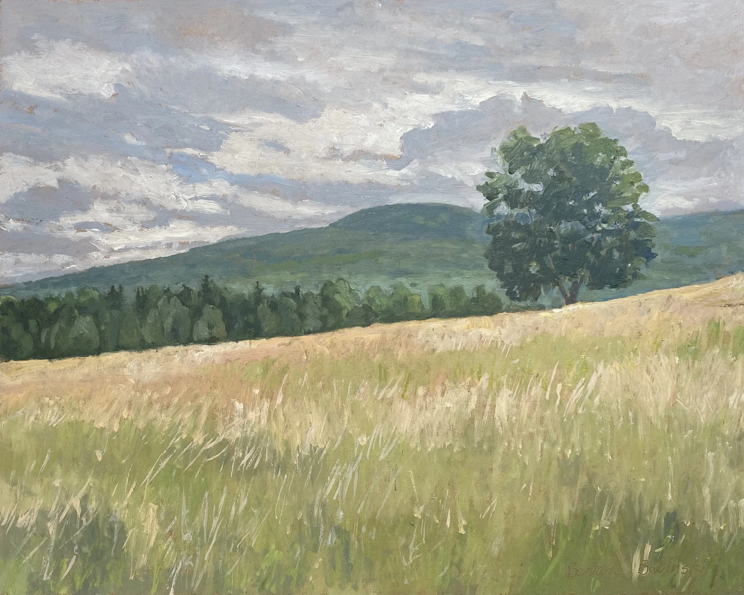 Fields on Woodard.jpeg