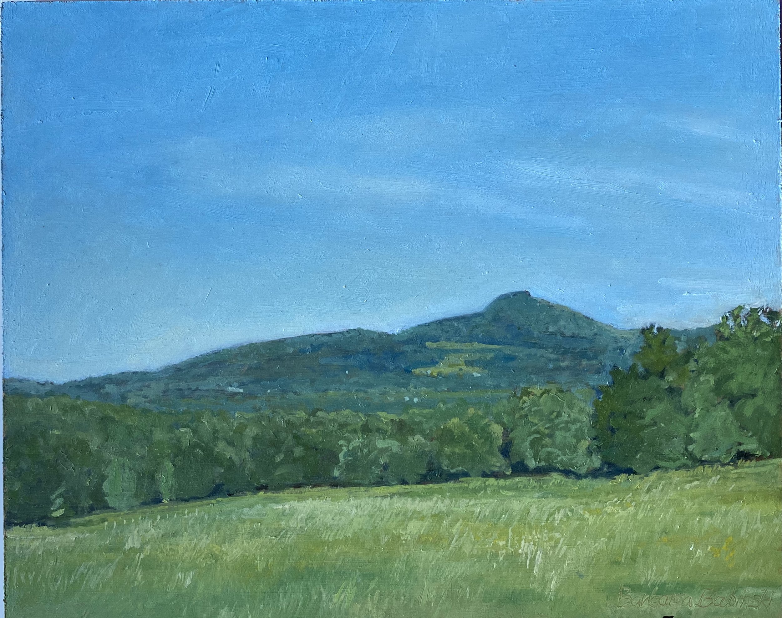 View Pinnacle from Scenic Rd
8in x 10in oil on panel