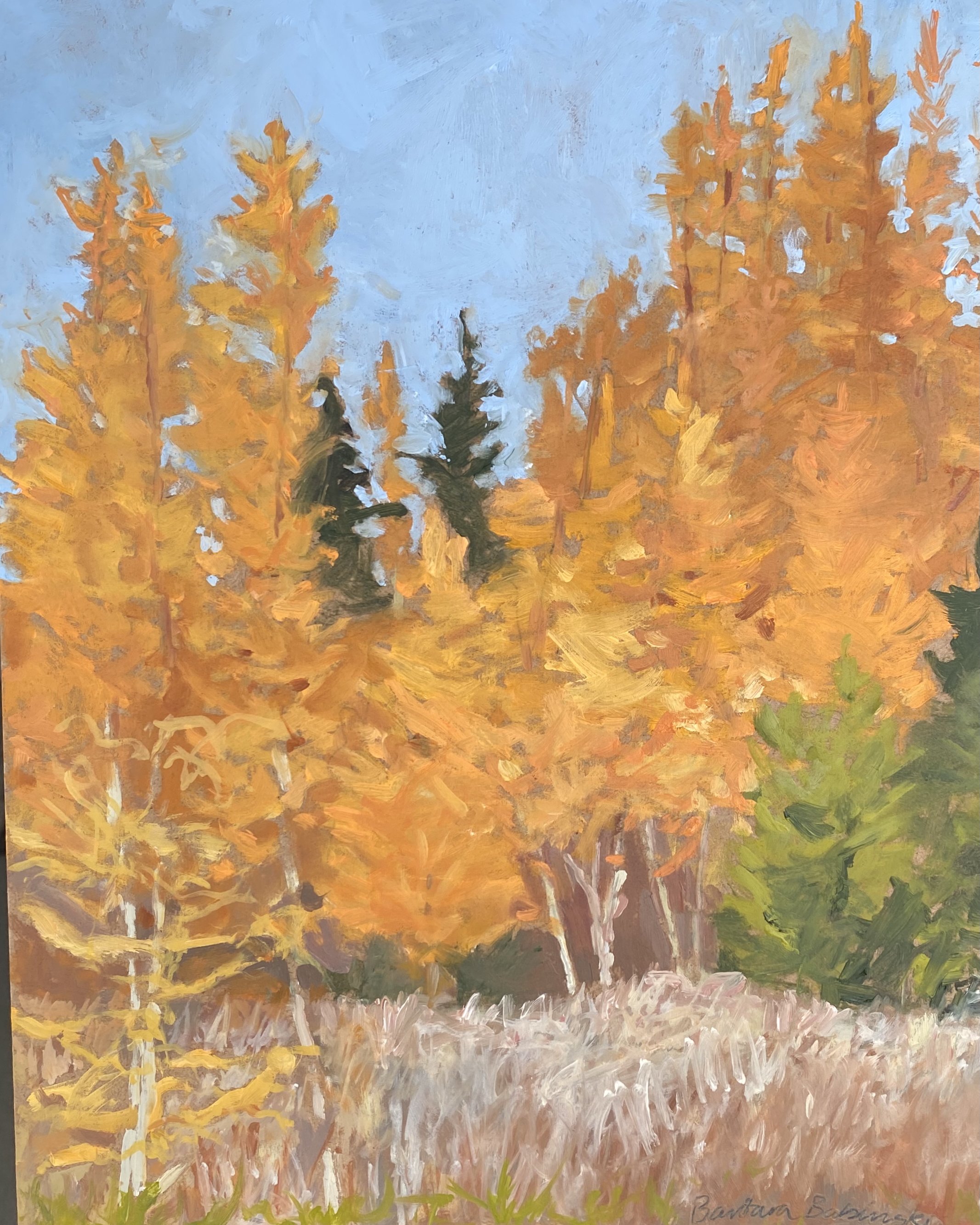 Tamaracks in the Fall at Sunset
10in x 8in oil on panel