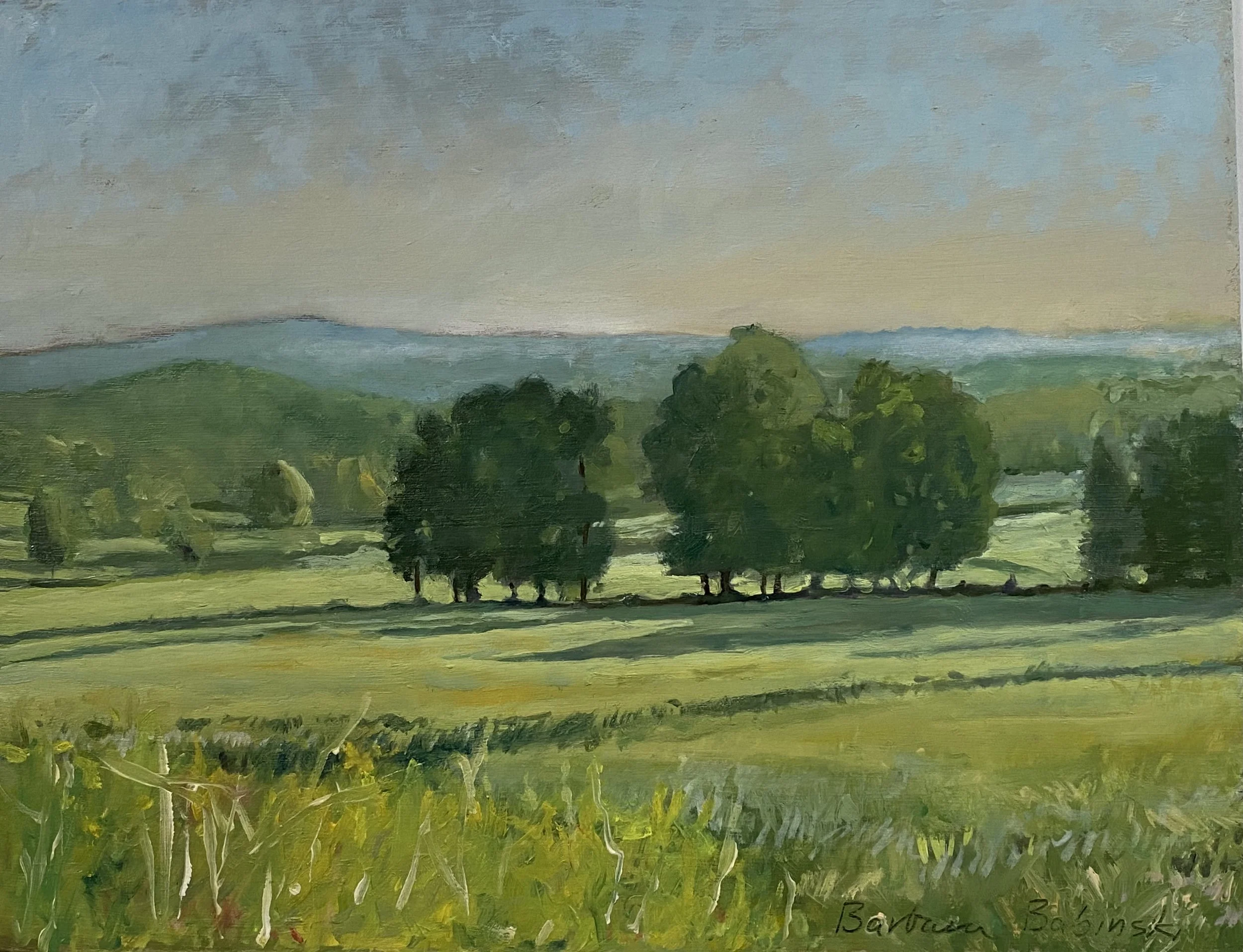 Early MORNING ON Woodard.jpeg