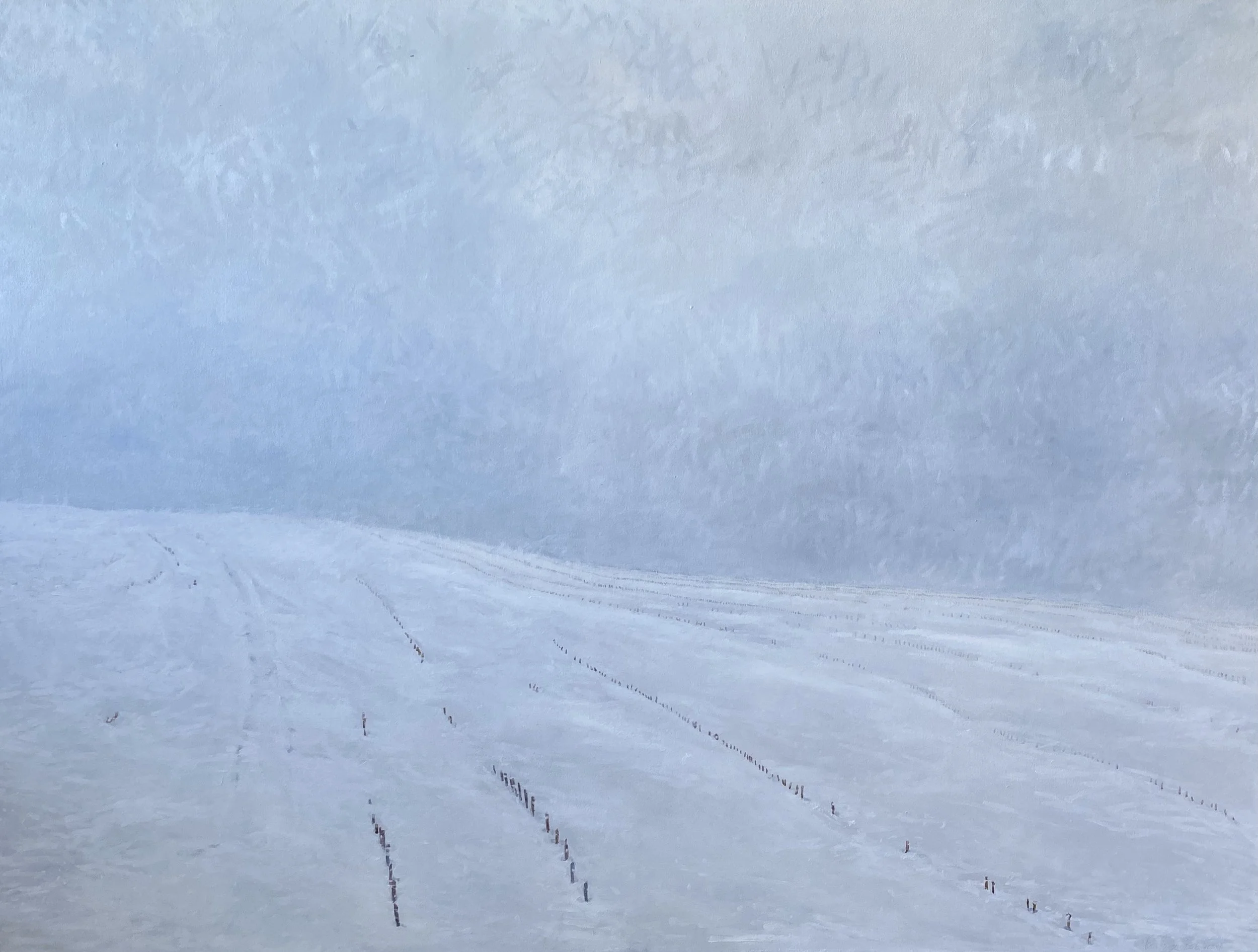 Snow Storm in the Fields.jpeg