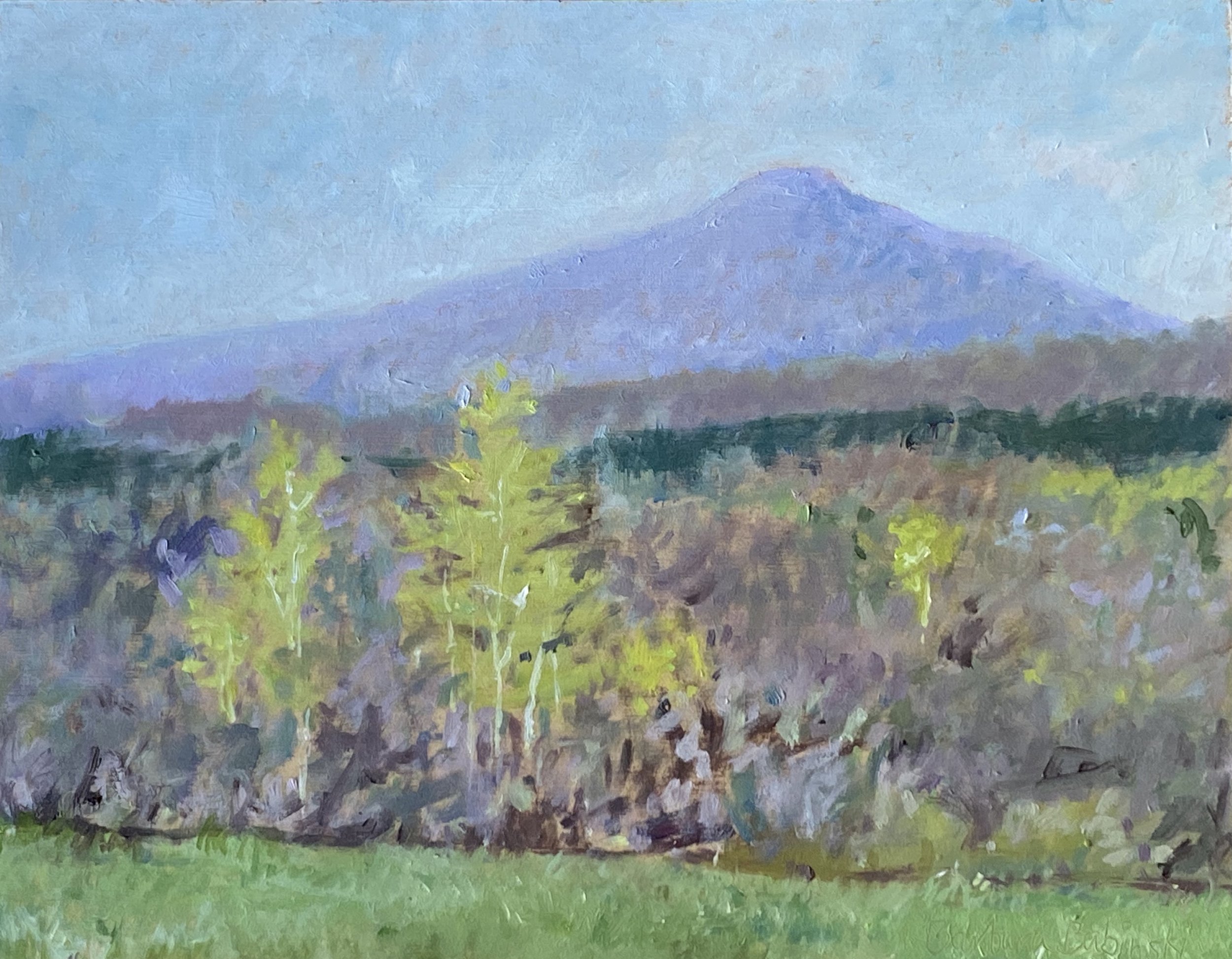 Early Spring view of Pinnacle
7in x 9in oil on panel