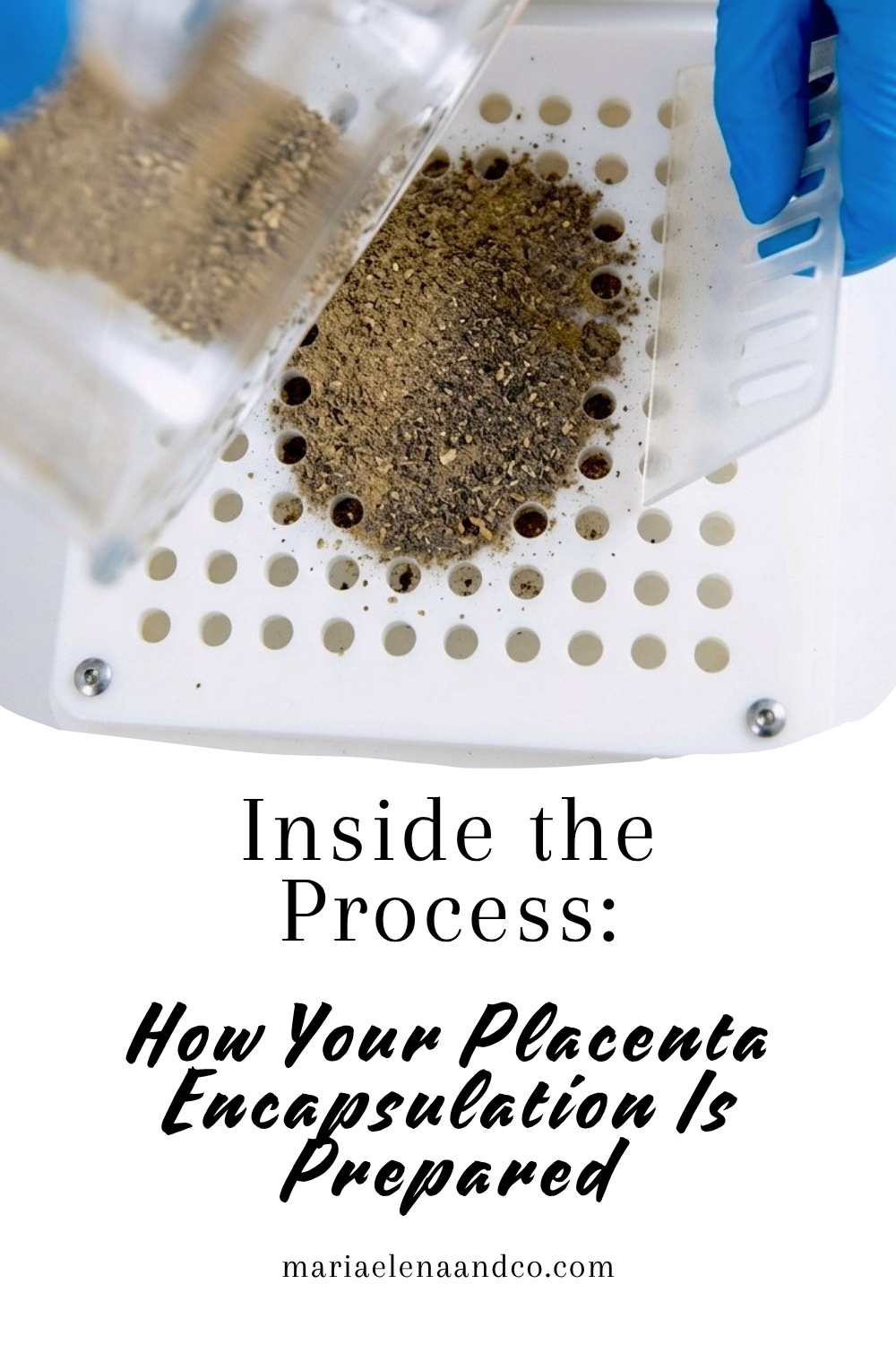 Inside the Process: How Your Placenta Encapsulation Is Prepared