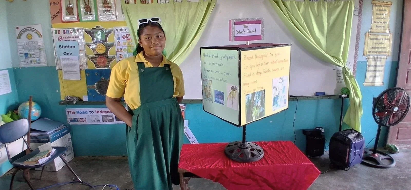 Standard Six Students Explore Belizean Identity Through Creative Visual Projects