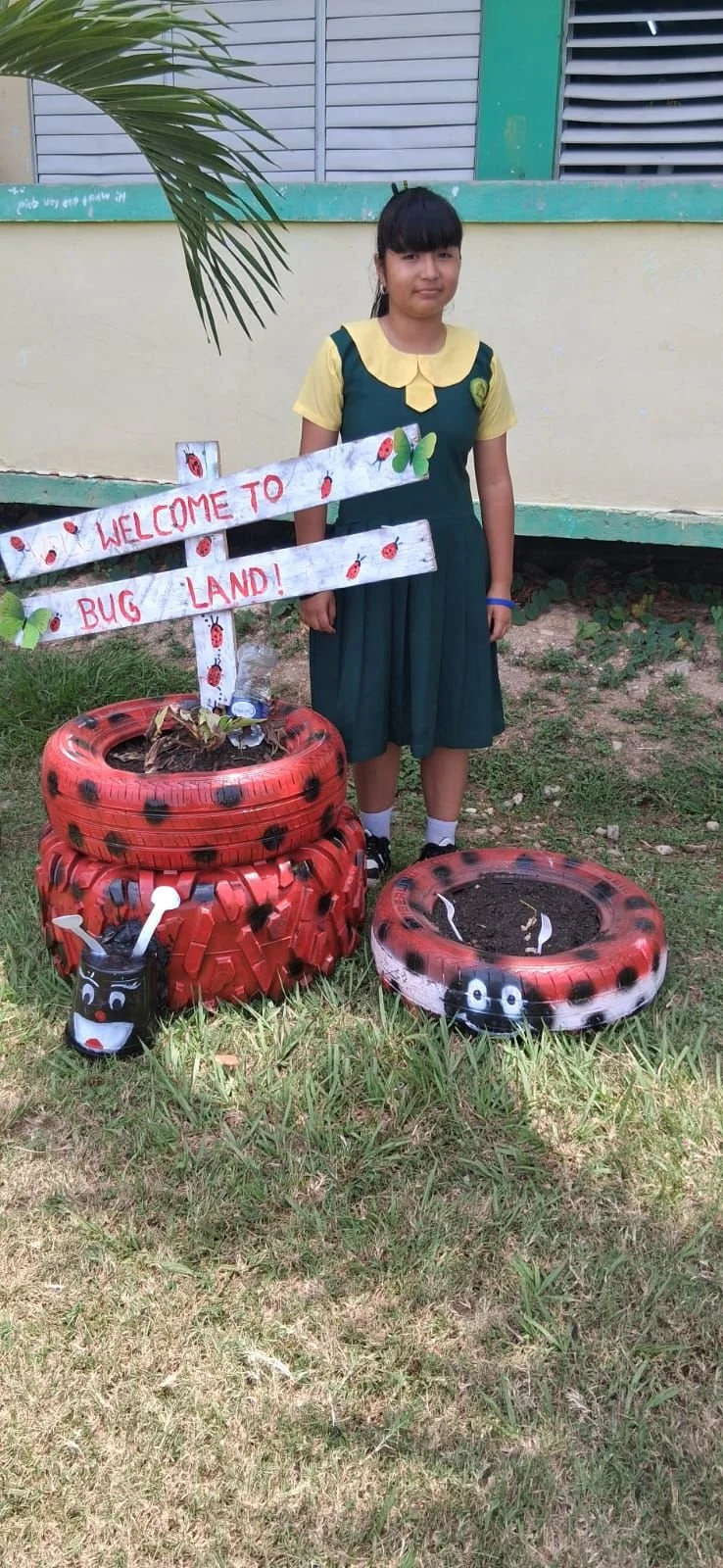Recycling Comes to Life in Standard Six