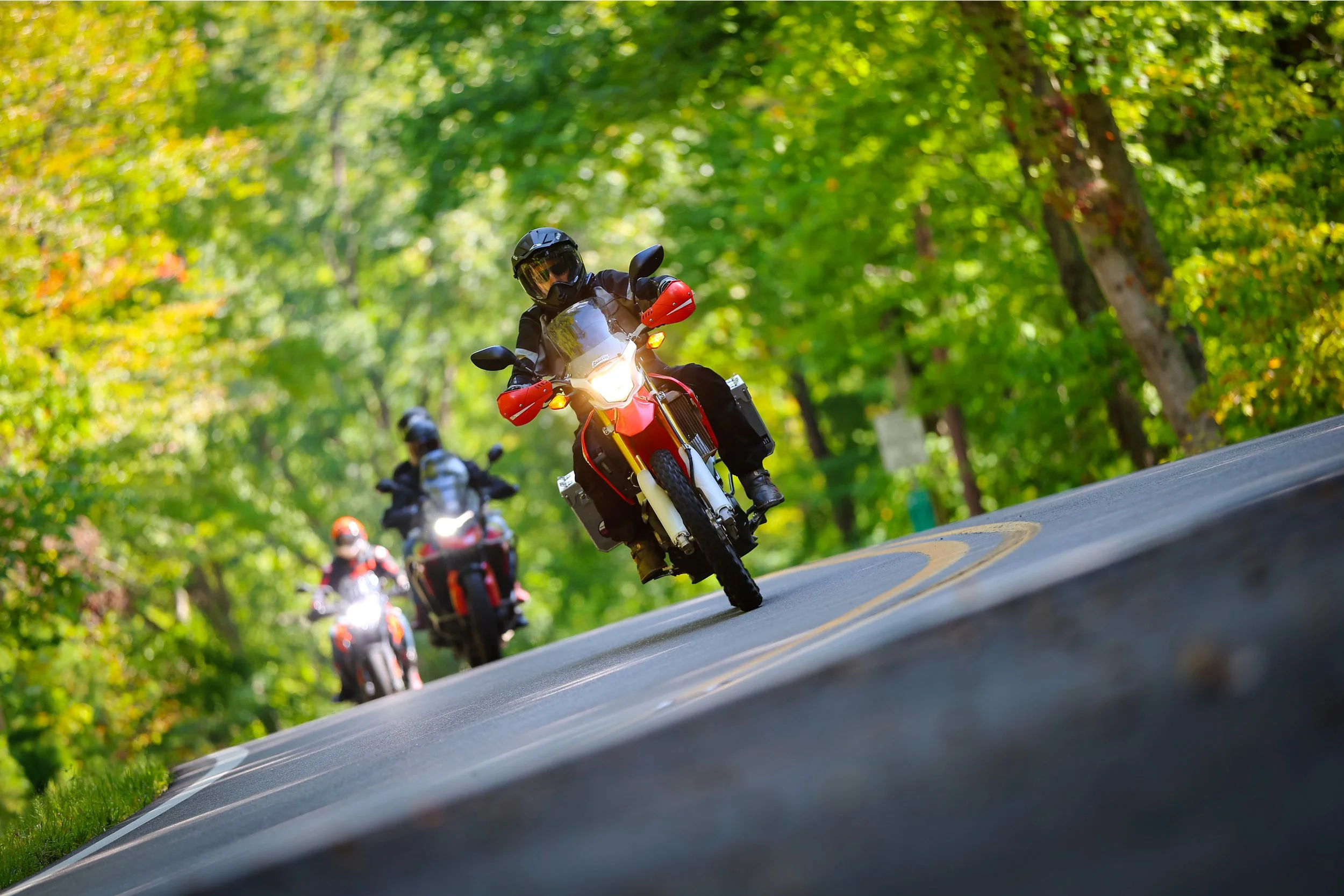 Tail of the Dragon 001 9-17-25.jpg
