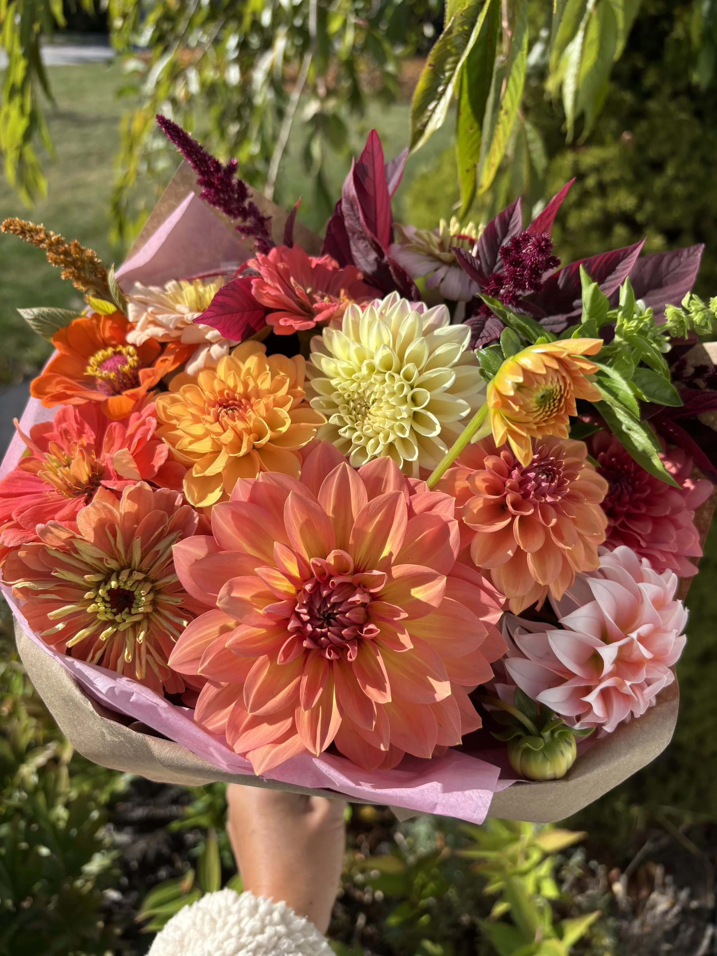 Late Summer/Fall Flower CSA (6 weeks)