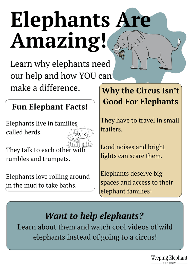 Worksheet preview page 1