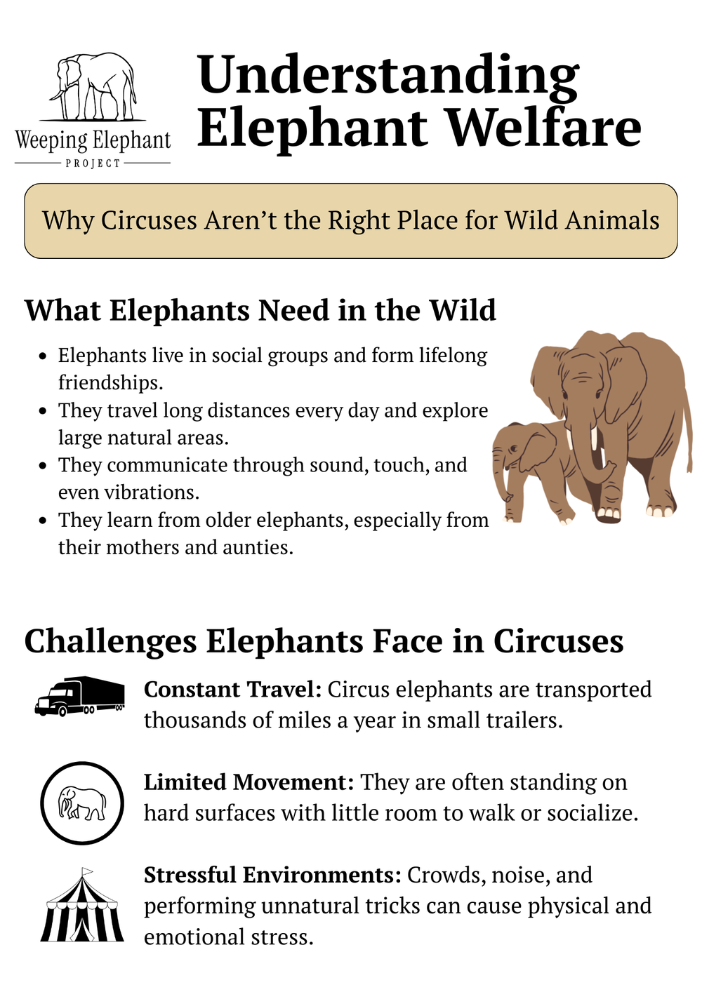 Middle school worksheet preview