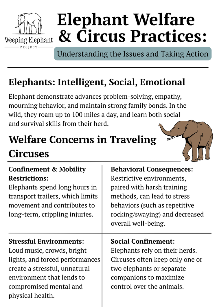 High school worksheet preview