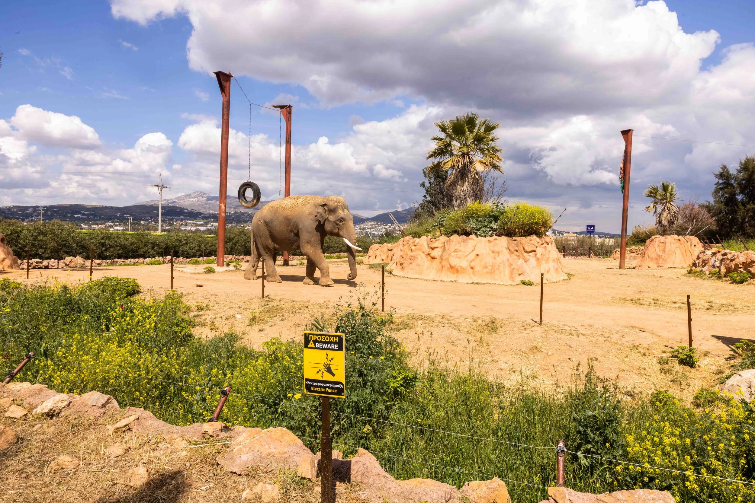 The Stories Zoos Tell—and the Reality Many People See
