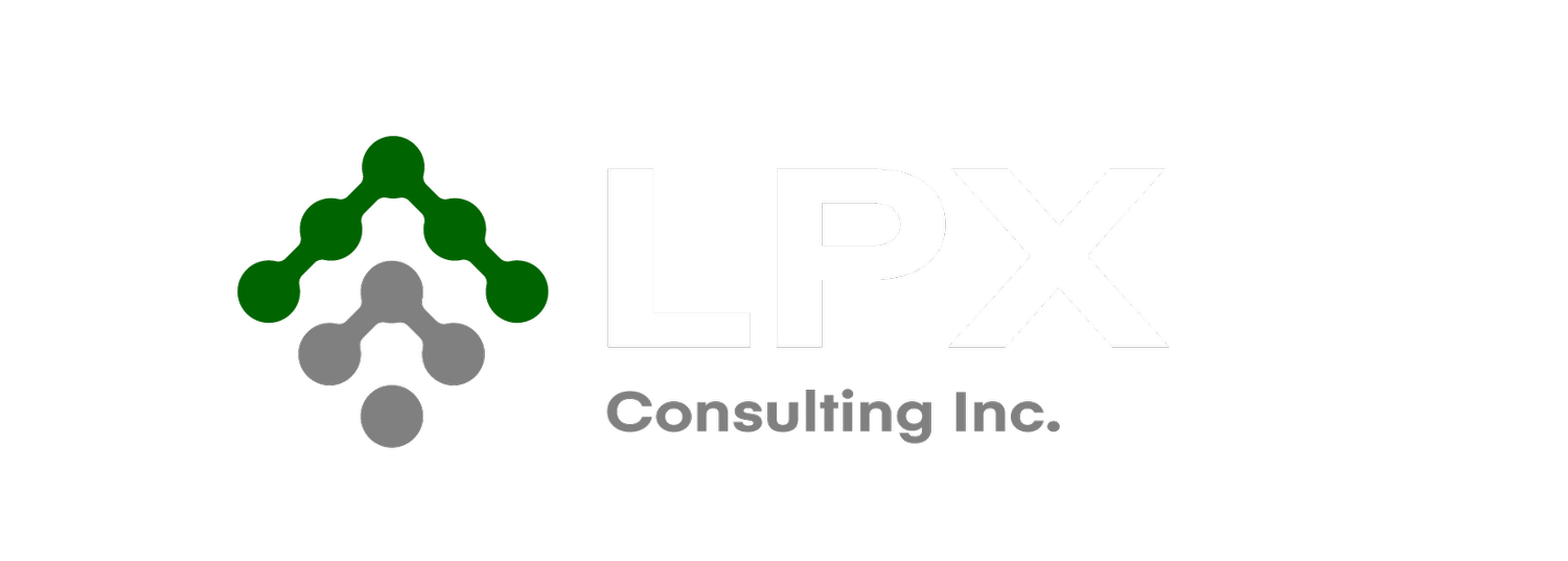 LPX Consulting I