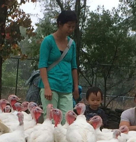 On-Farm Meat Processing Workshop