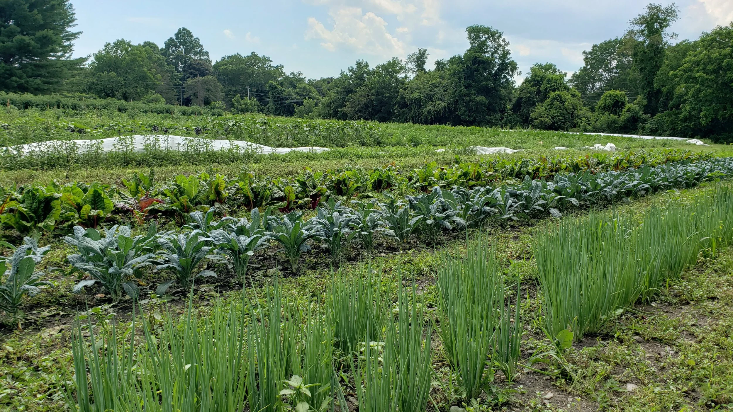 Growing Season Complete