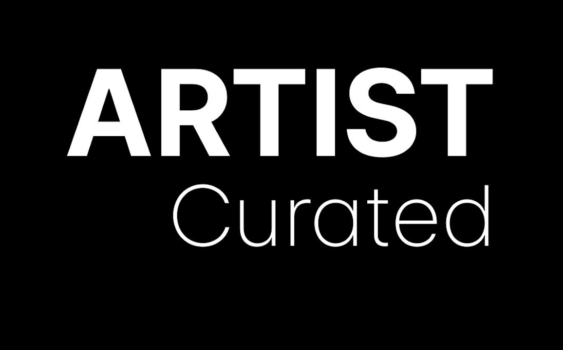 Artist Curated Q+A Zoom