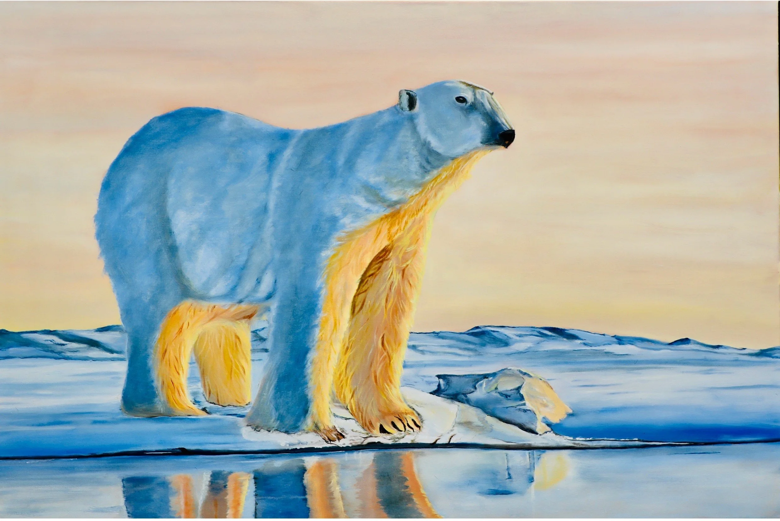 lg_11_c5555b.jpg