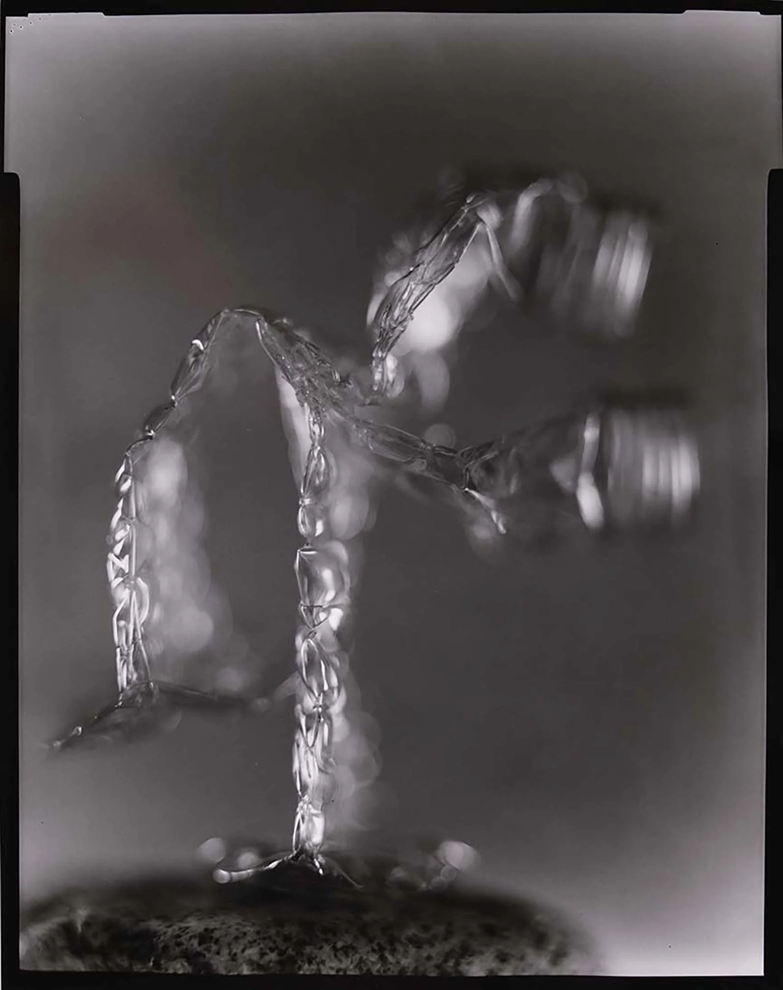 lg_46_986e4f.jpg