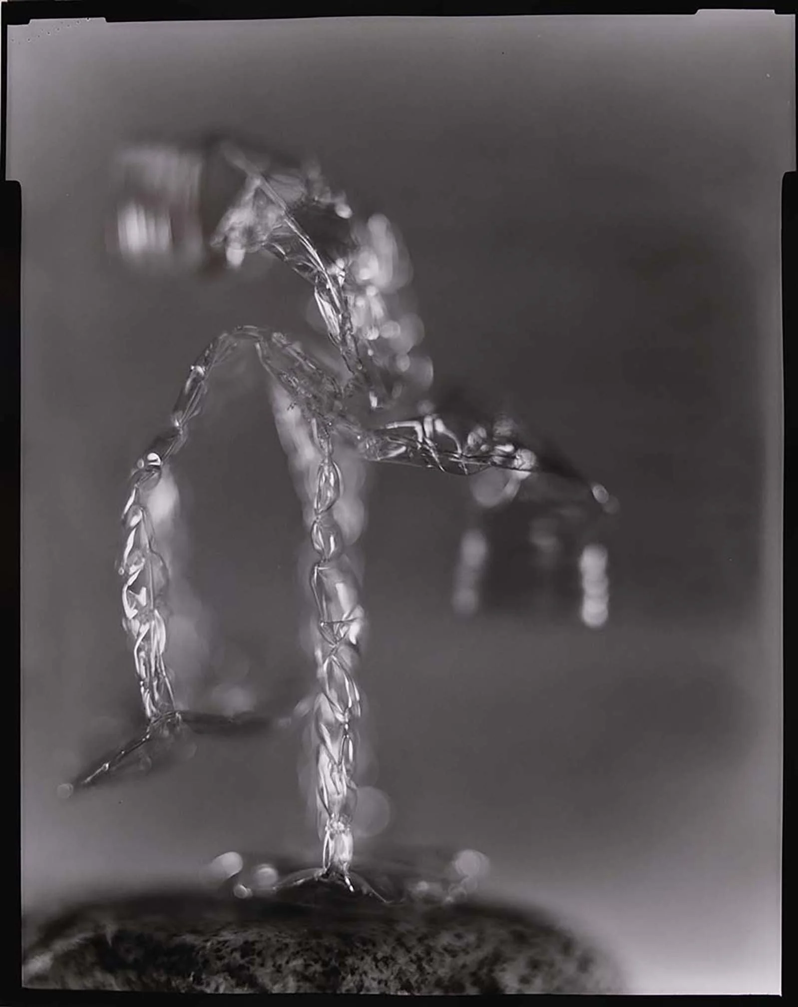 lg_47_6f5c61.jpg