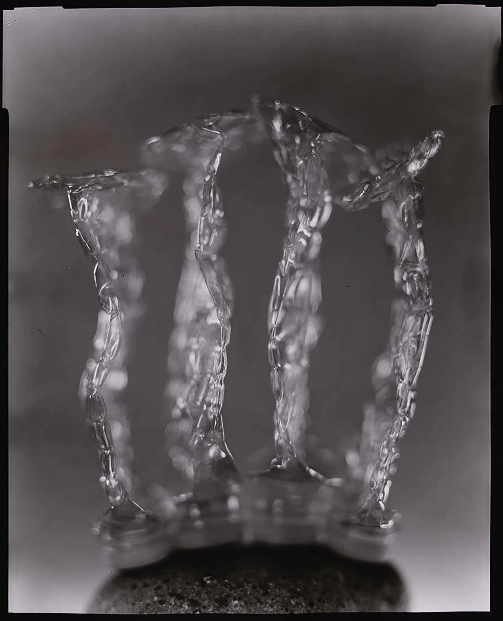 lg_48_0cc6bd.jpg