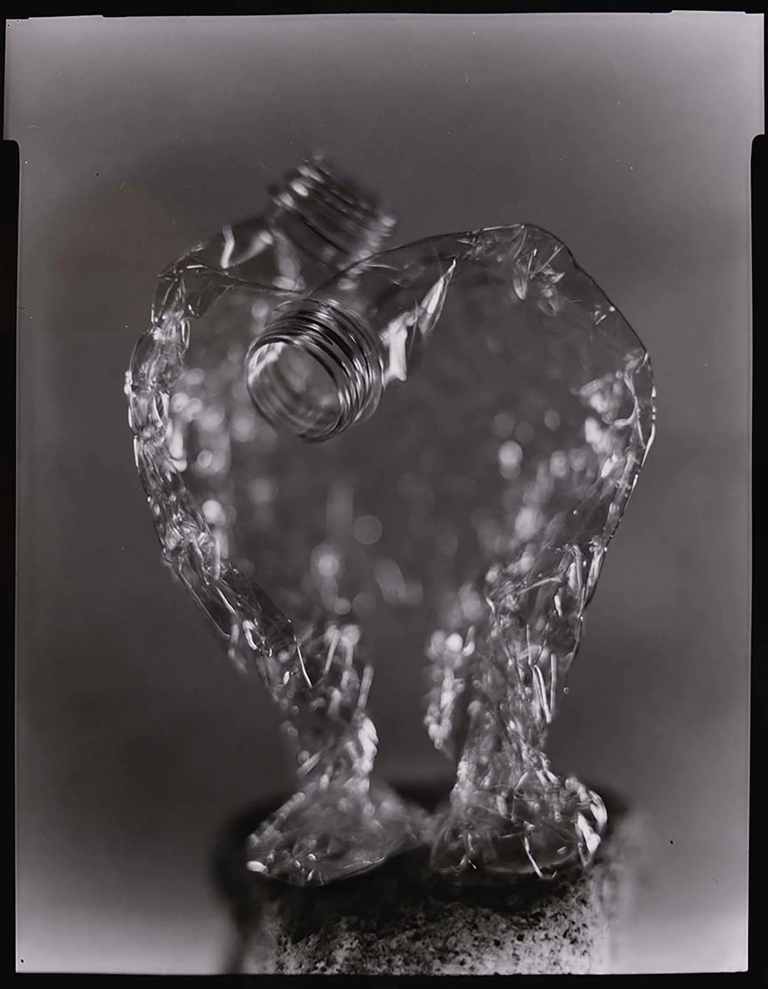 lg_58_c7878c.jpg