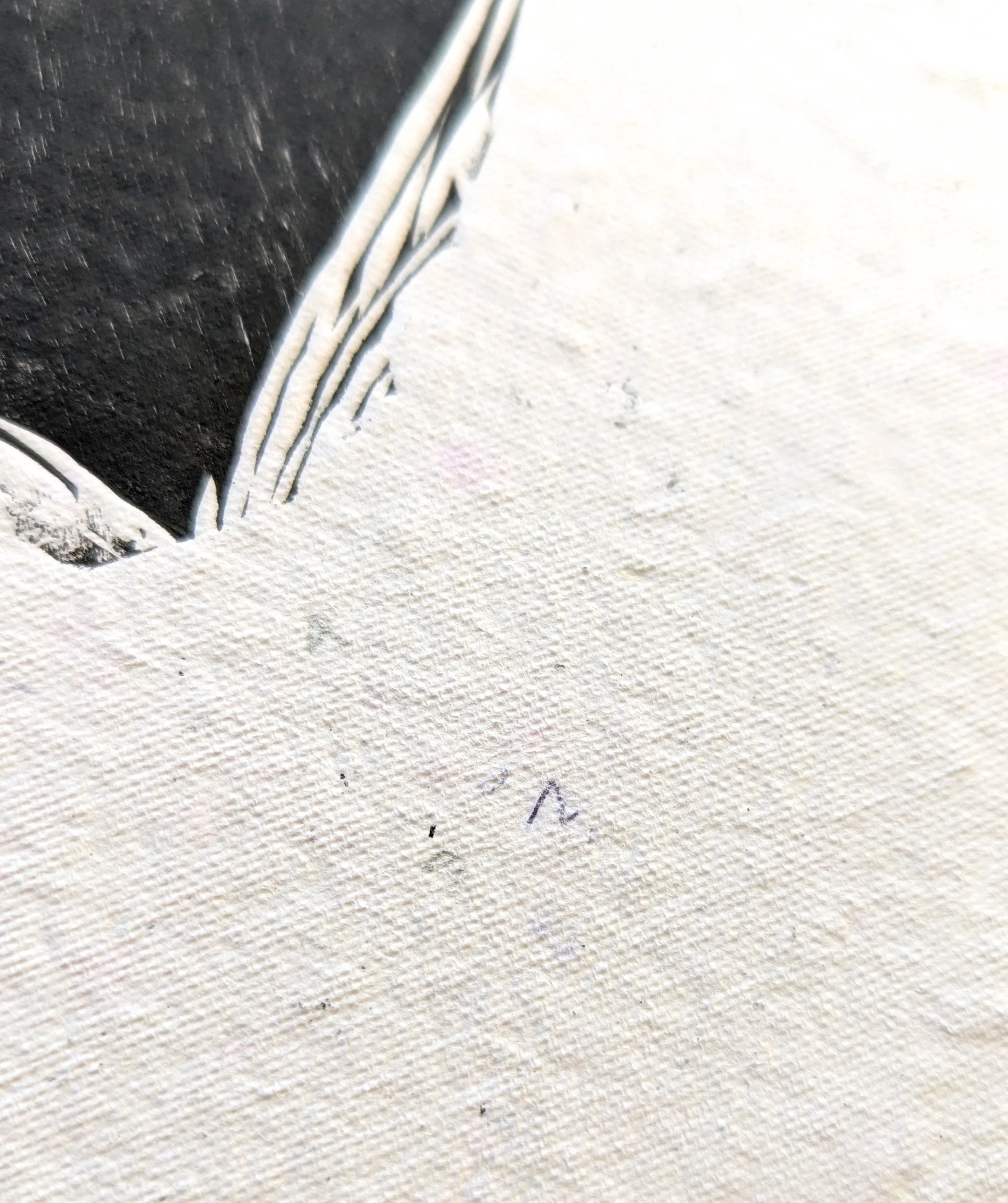 lg_167_762c8e.jpg
