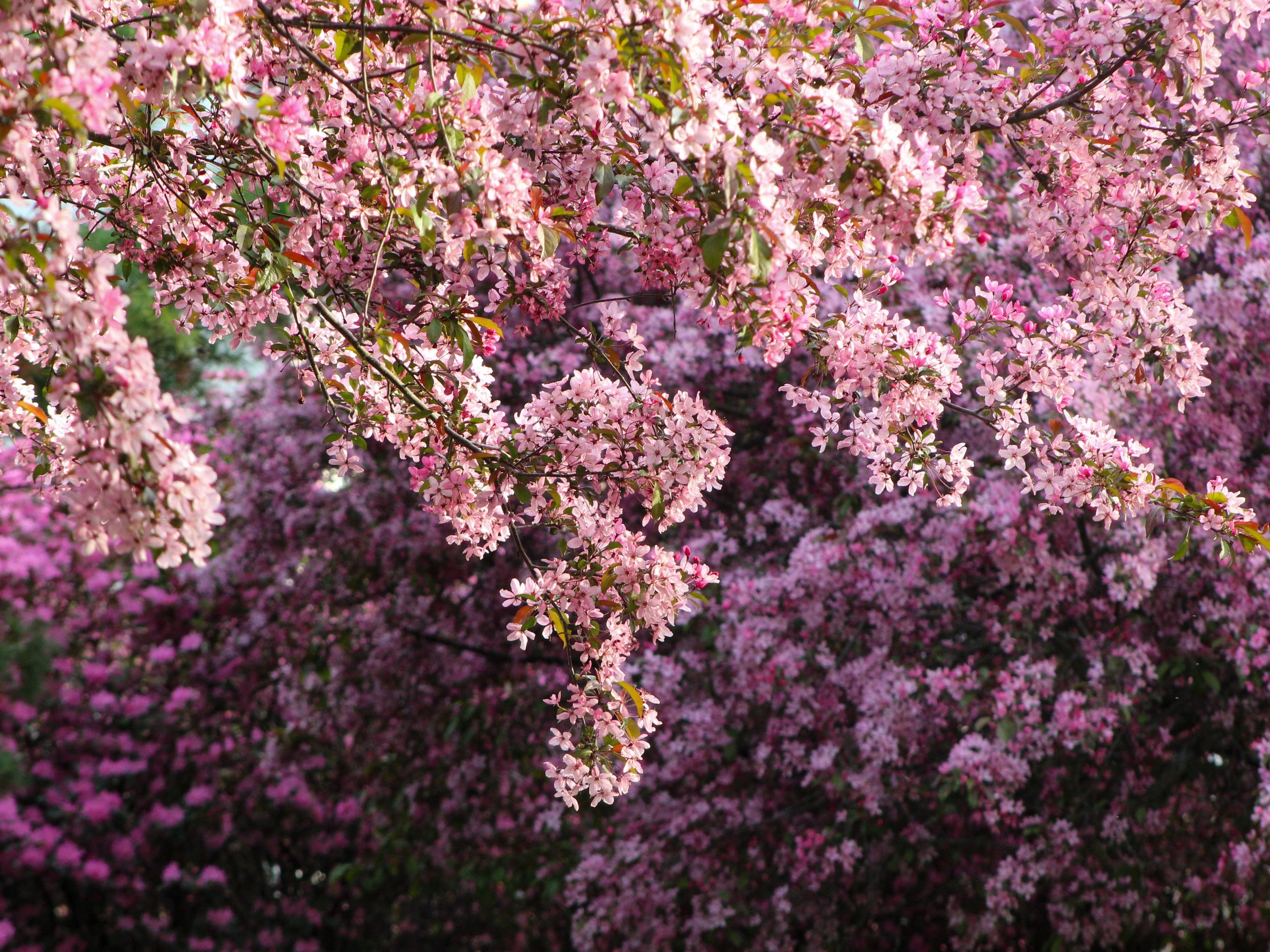 lg_95_559160.jpg