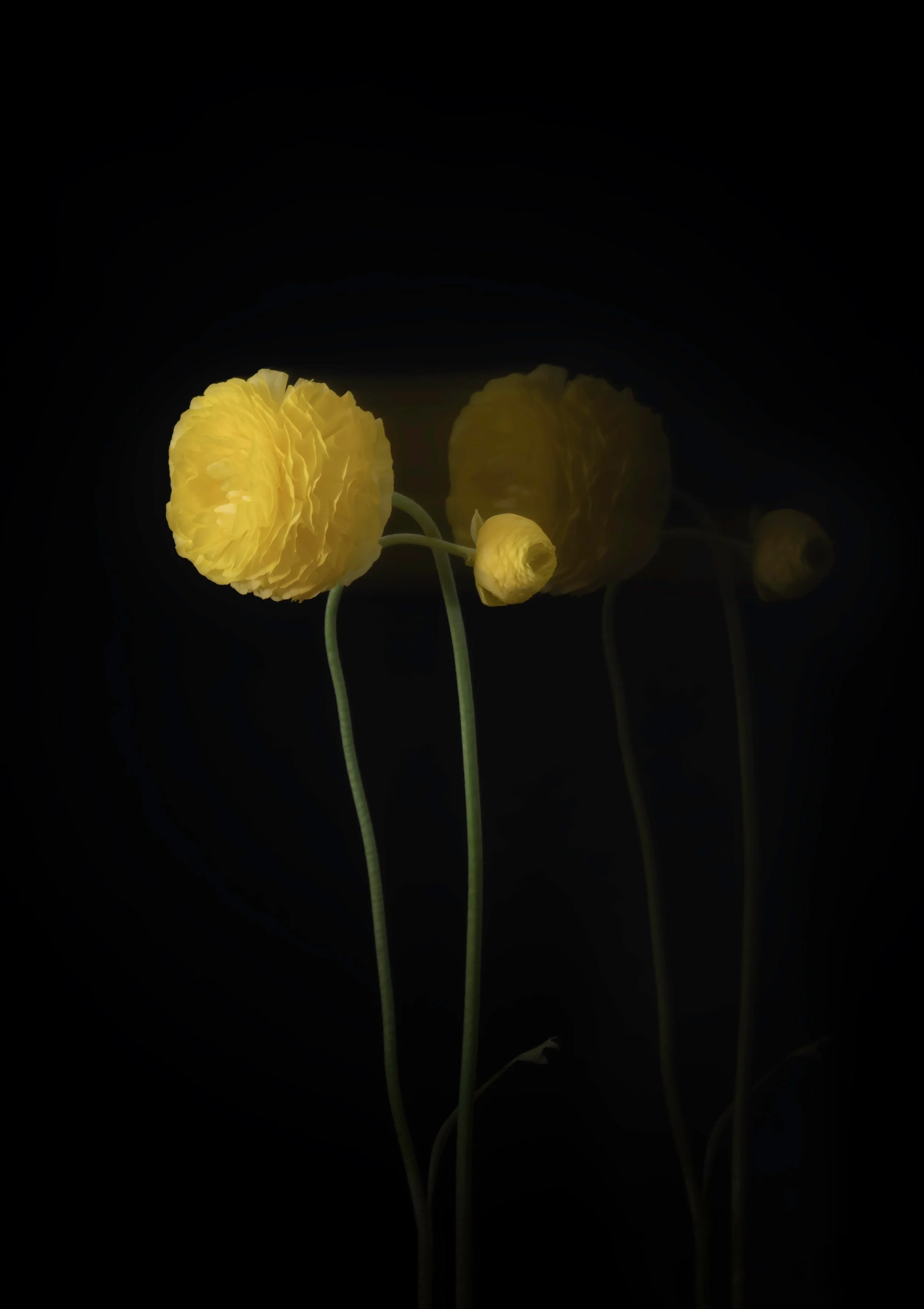 lg_175_e336d4.jpg