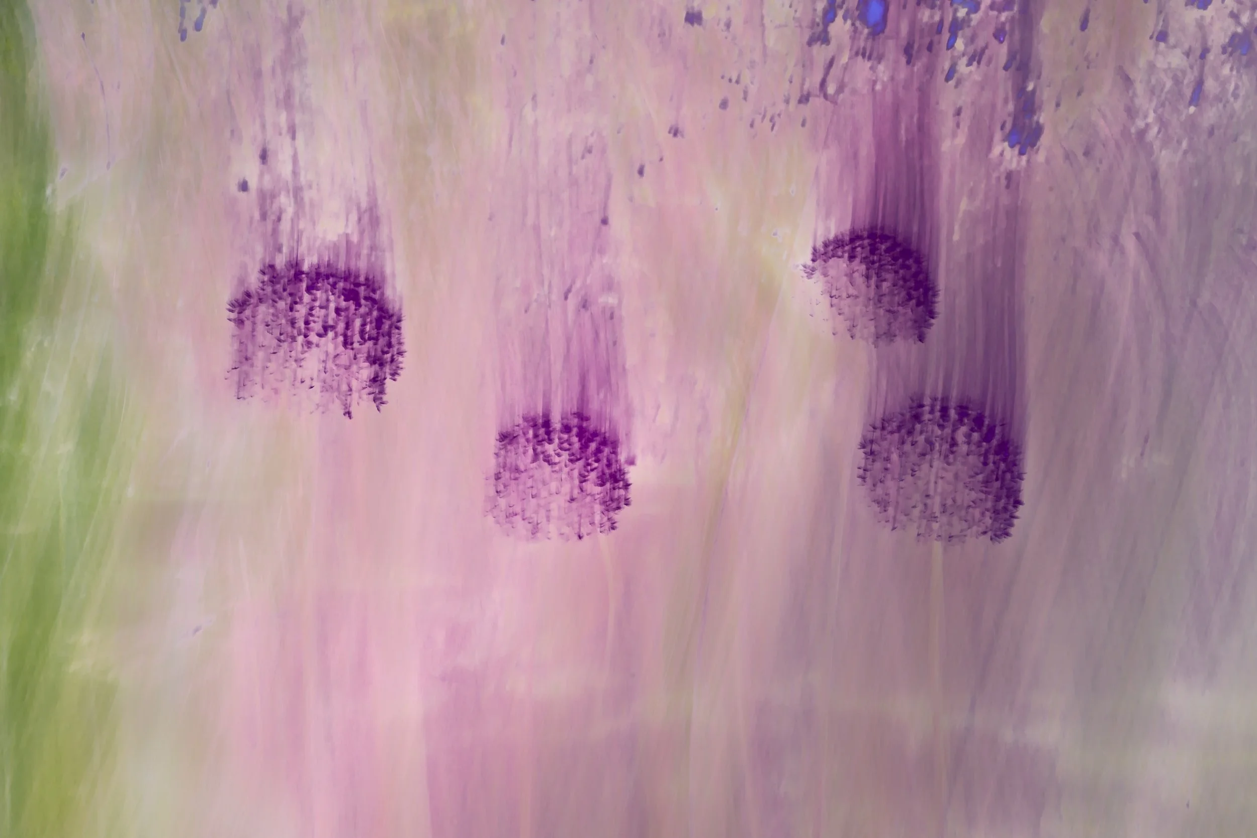 lg_195_6c5184.jpg