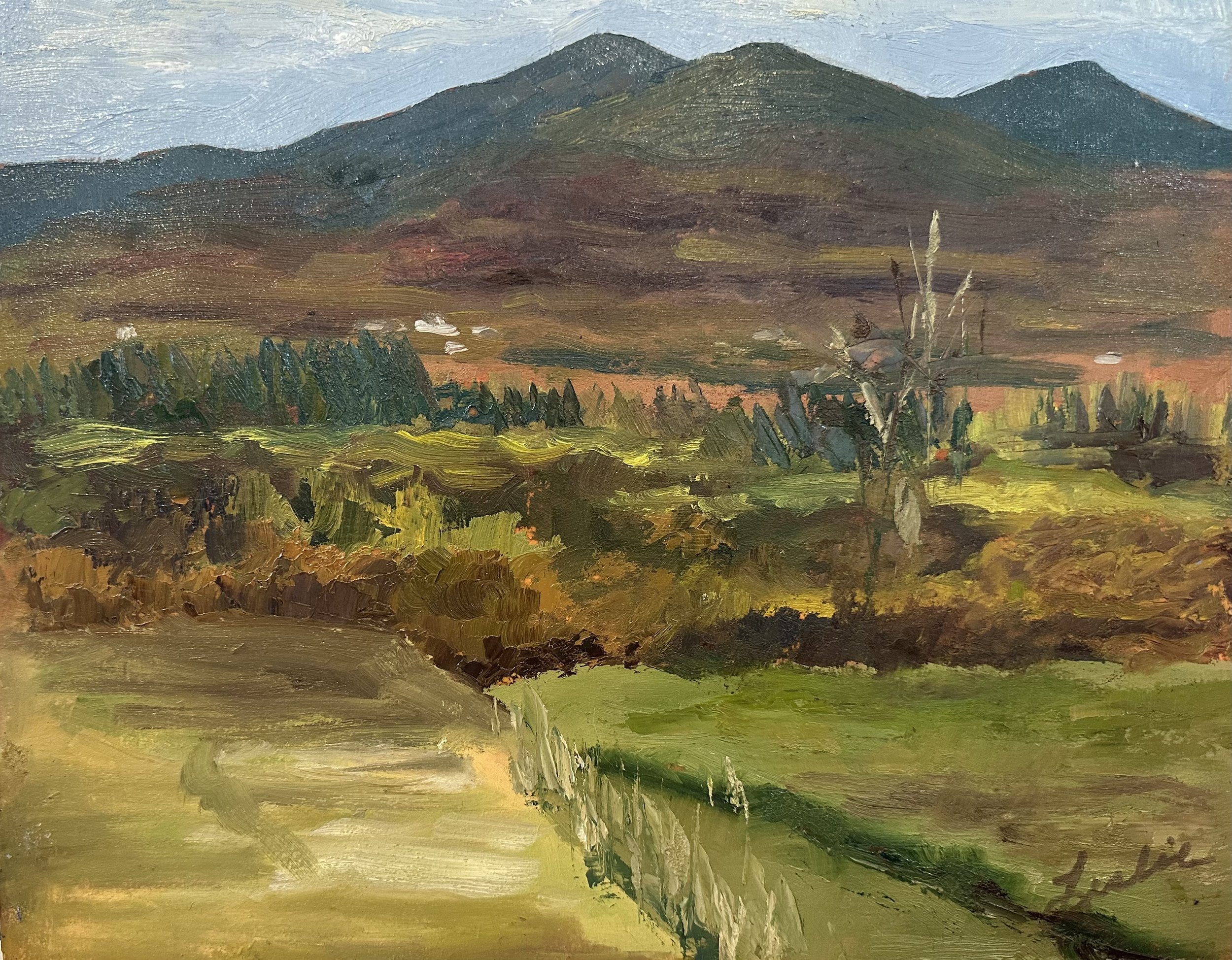 Leslie Scott-Lysan