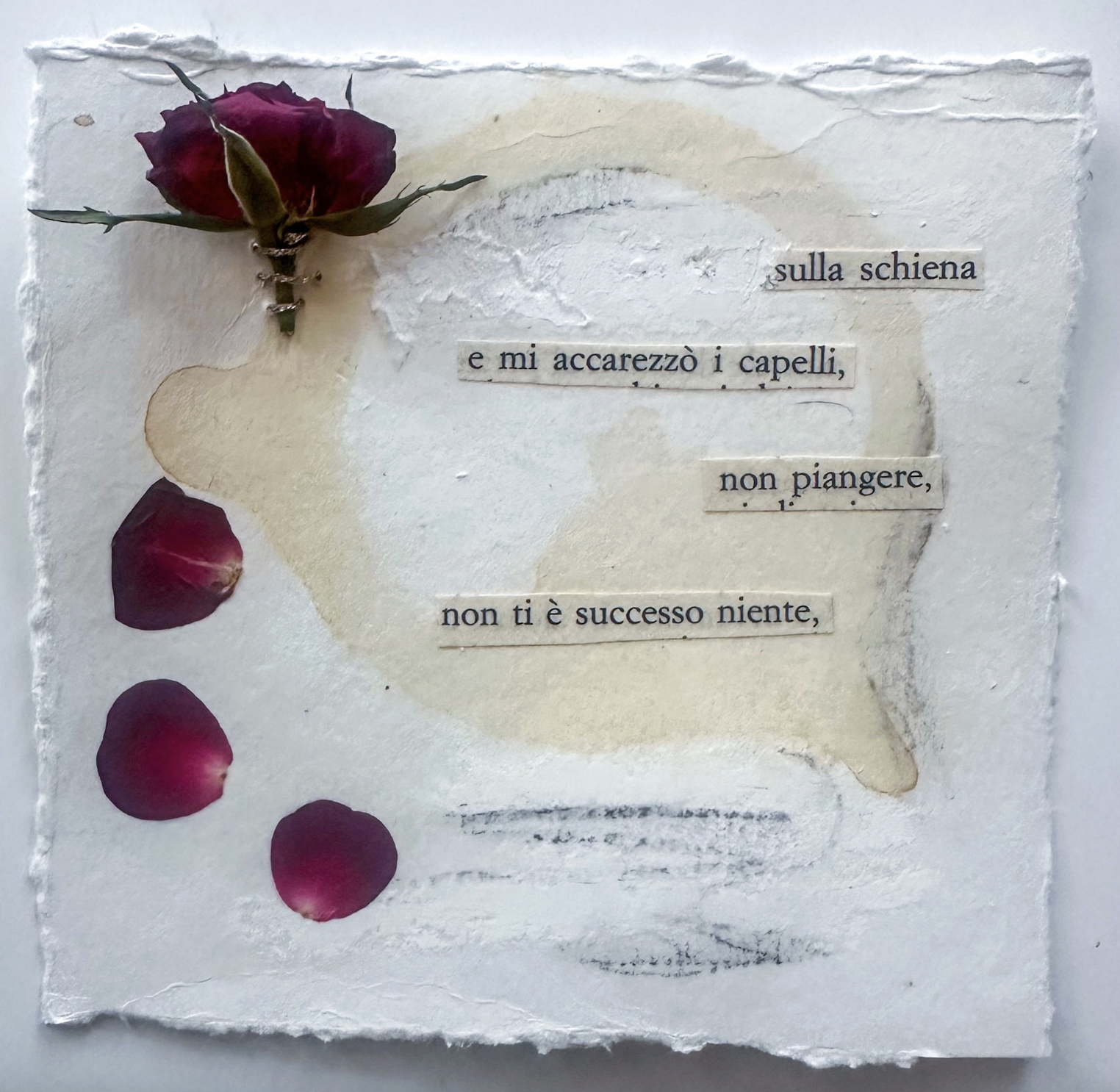 Nothing Happened to You by Hallie Driscoll
