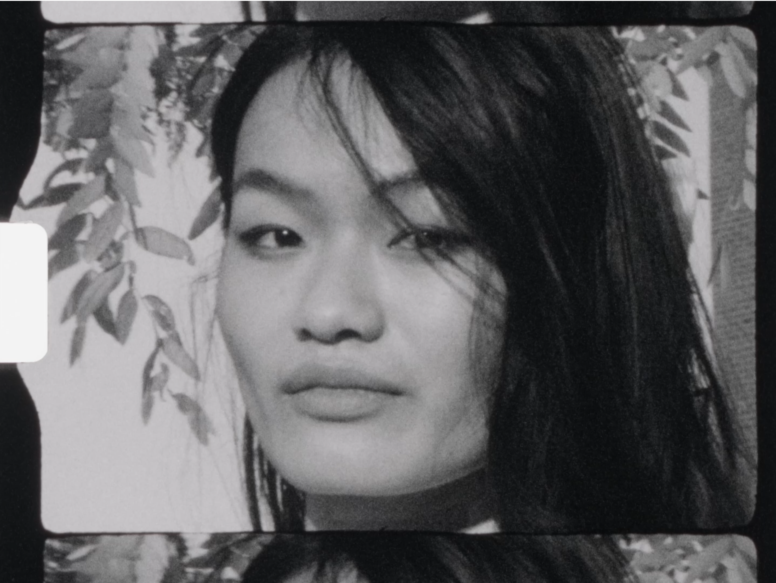 molly super 8 cover image.PNG