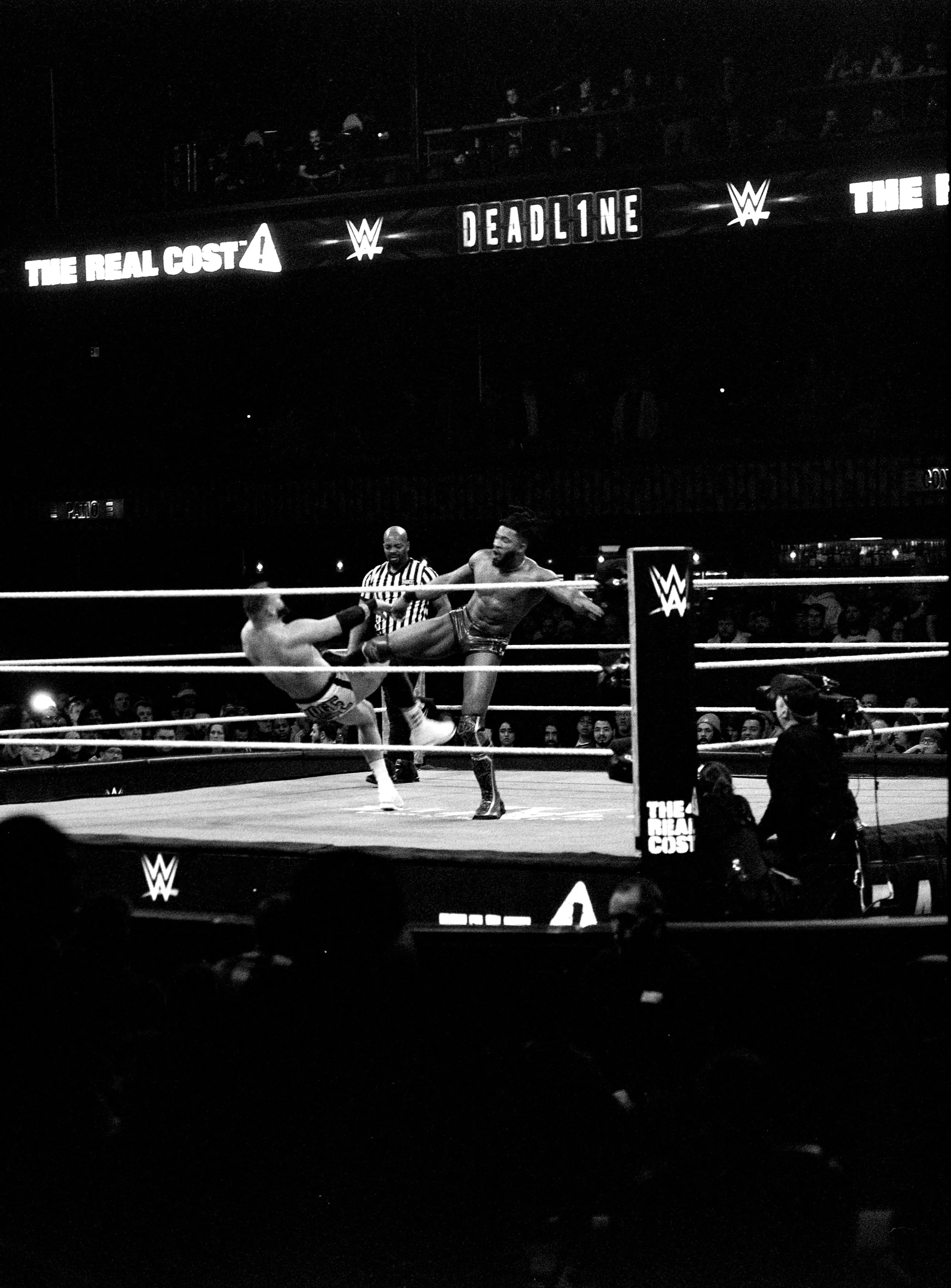 wwe ilford (2).JPG