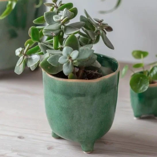 Medium Positano Pot Forest Green 13.5cm