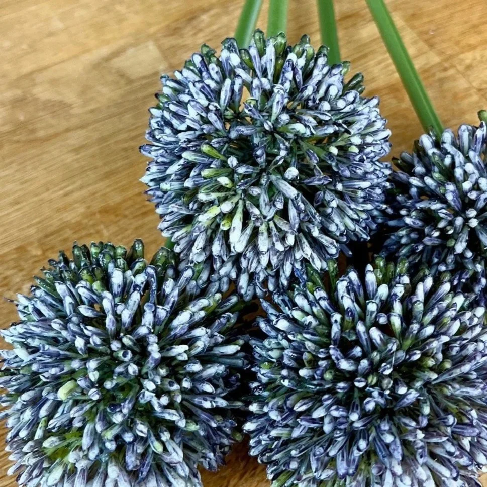 Dark Purple Allium Faux Flower Stem