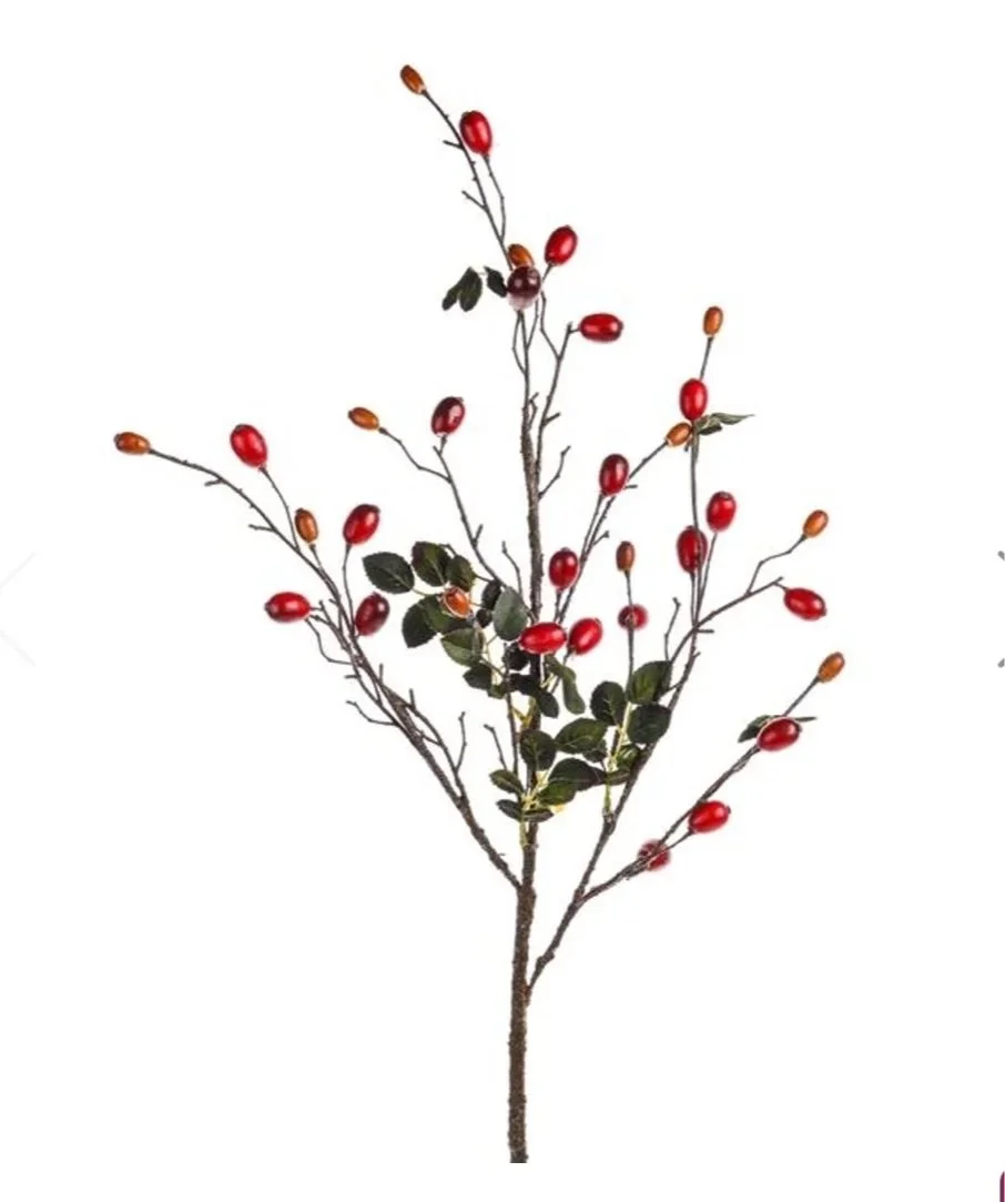 Rose Hip Stem Spray