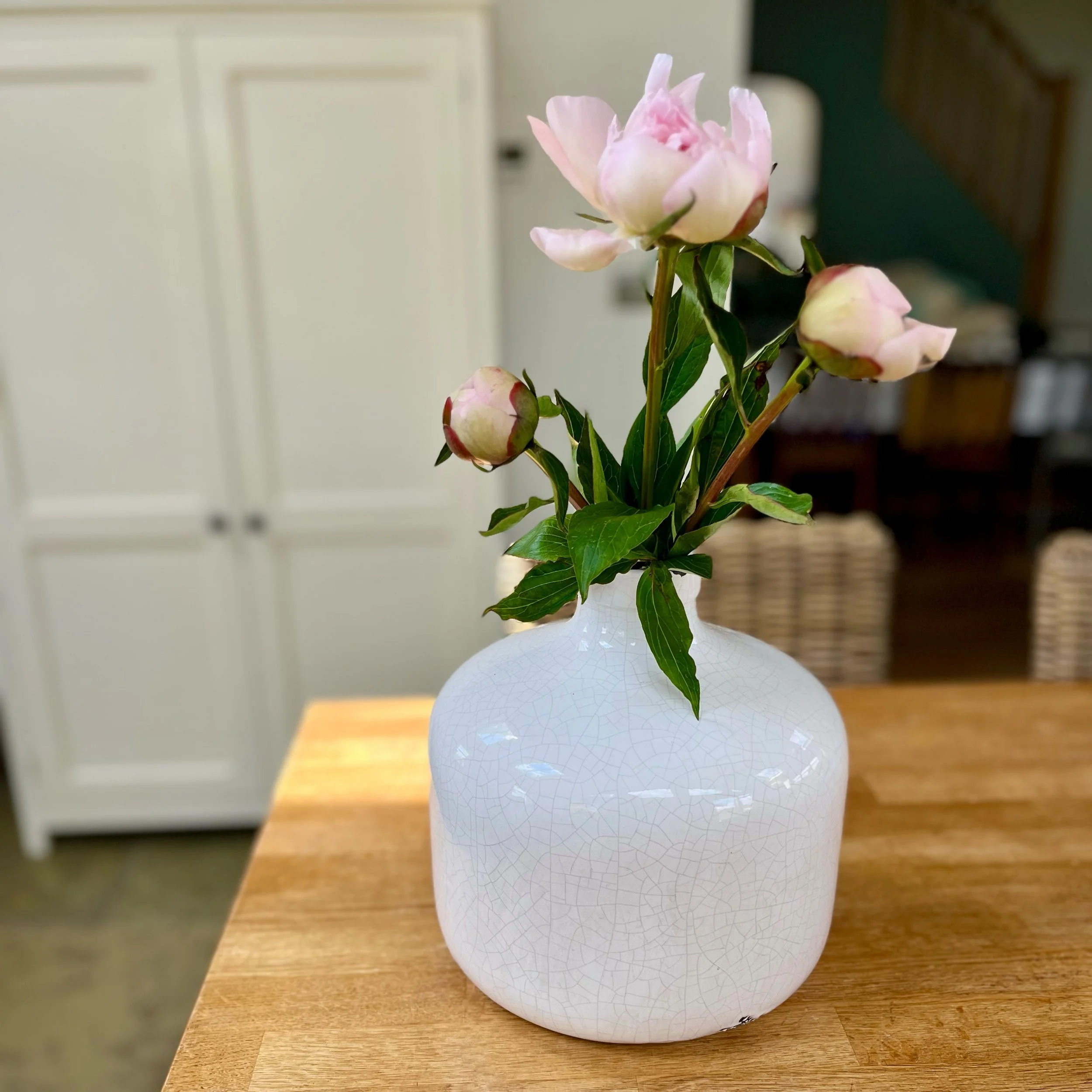 Deia White Crackle Glaze Vase