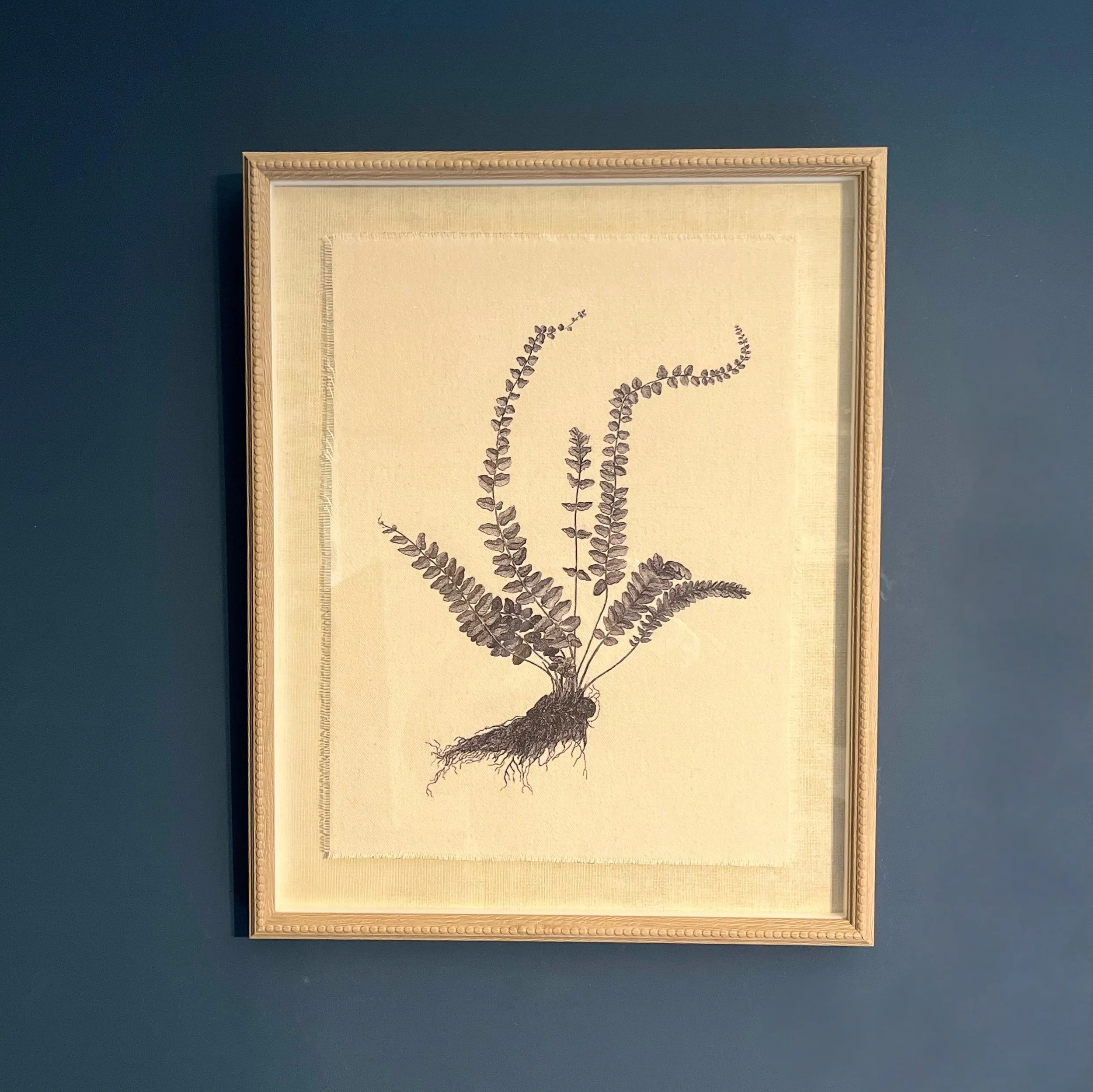 Asplenium Fern Botanical Linen Framed Print