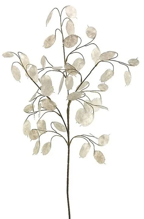 Lunaria Spray Stem (Honesty Spray)