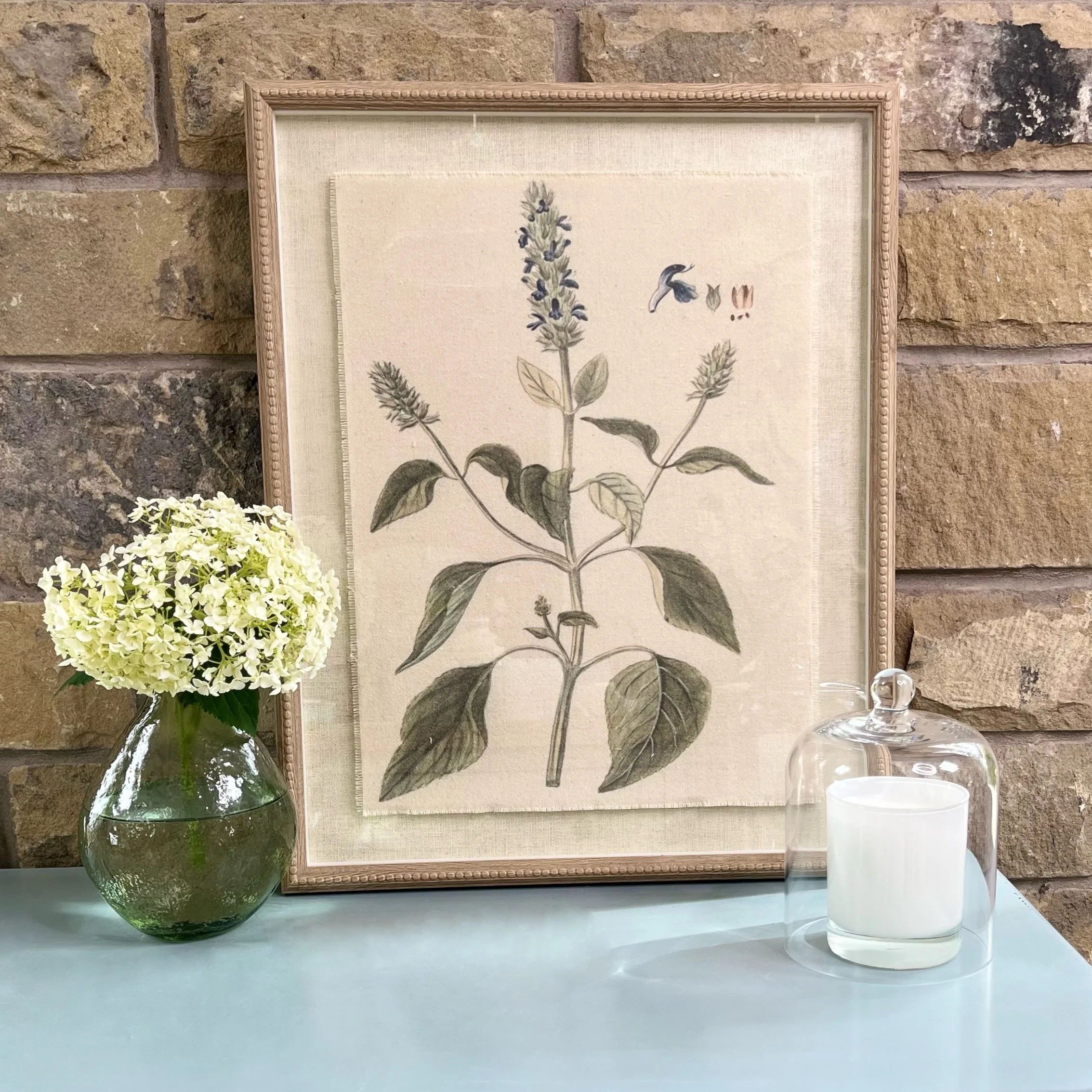 Salvia Caradonna Botanical Linen Framed Print
