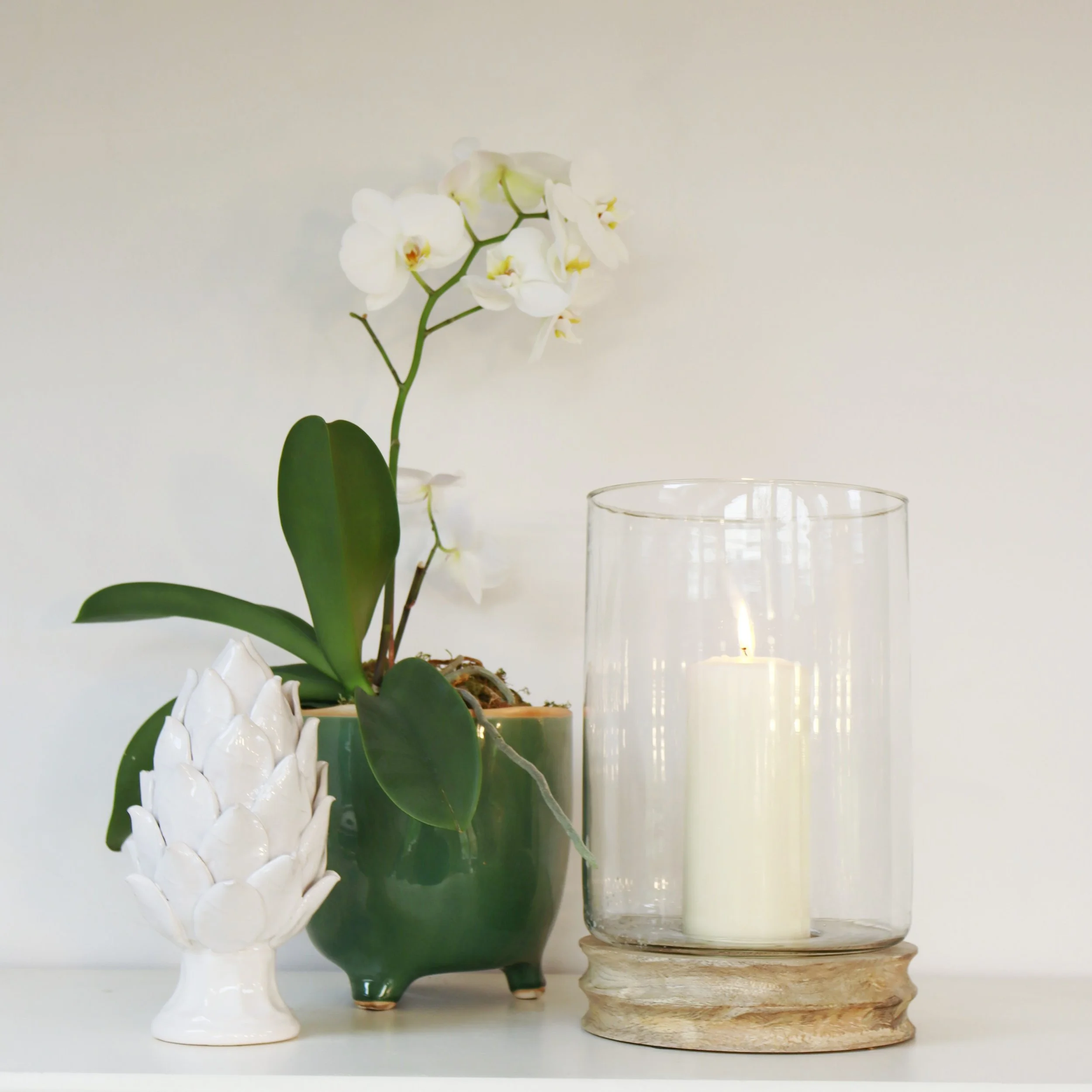 _MG_1270_inPixio (2).jpg (Copy)