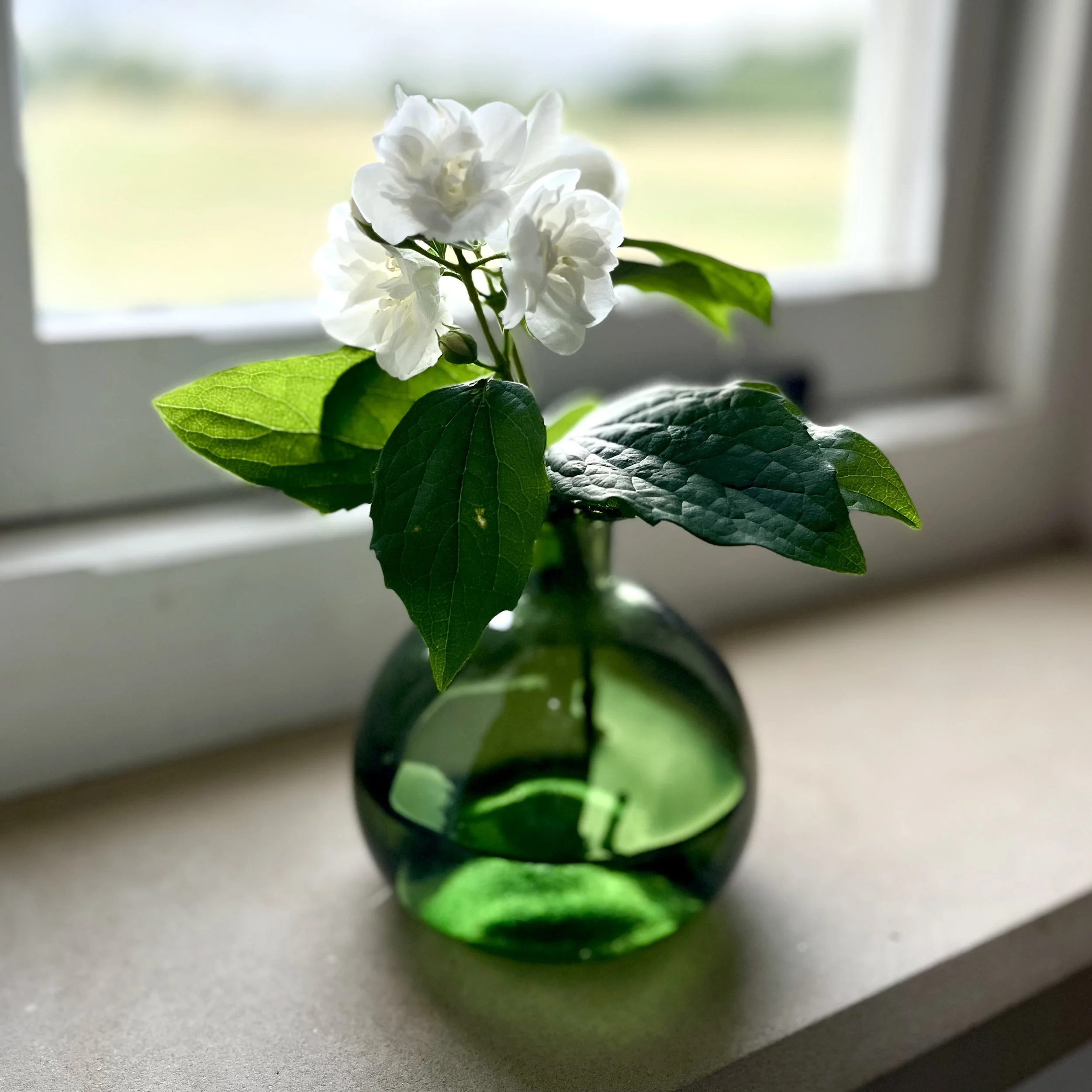 Recycled Green Glass Bud Vase 12 cm x 11 cm