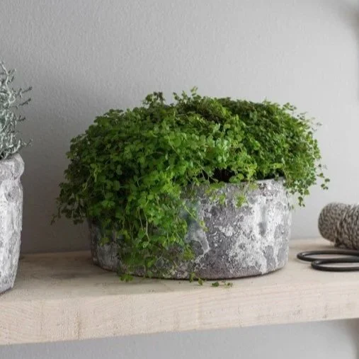 Sonning Planter Bowl