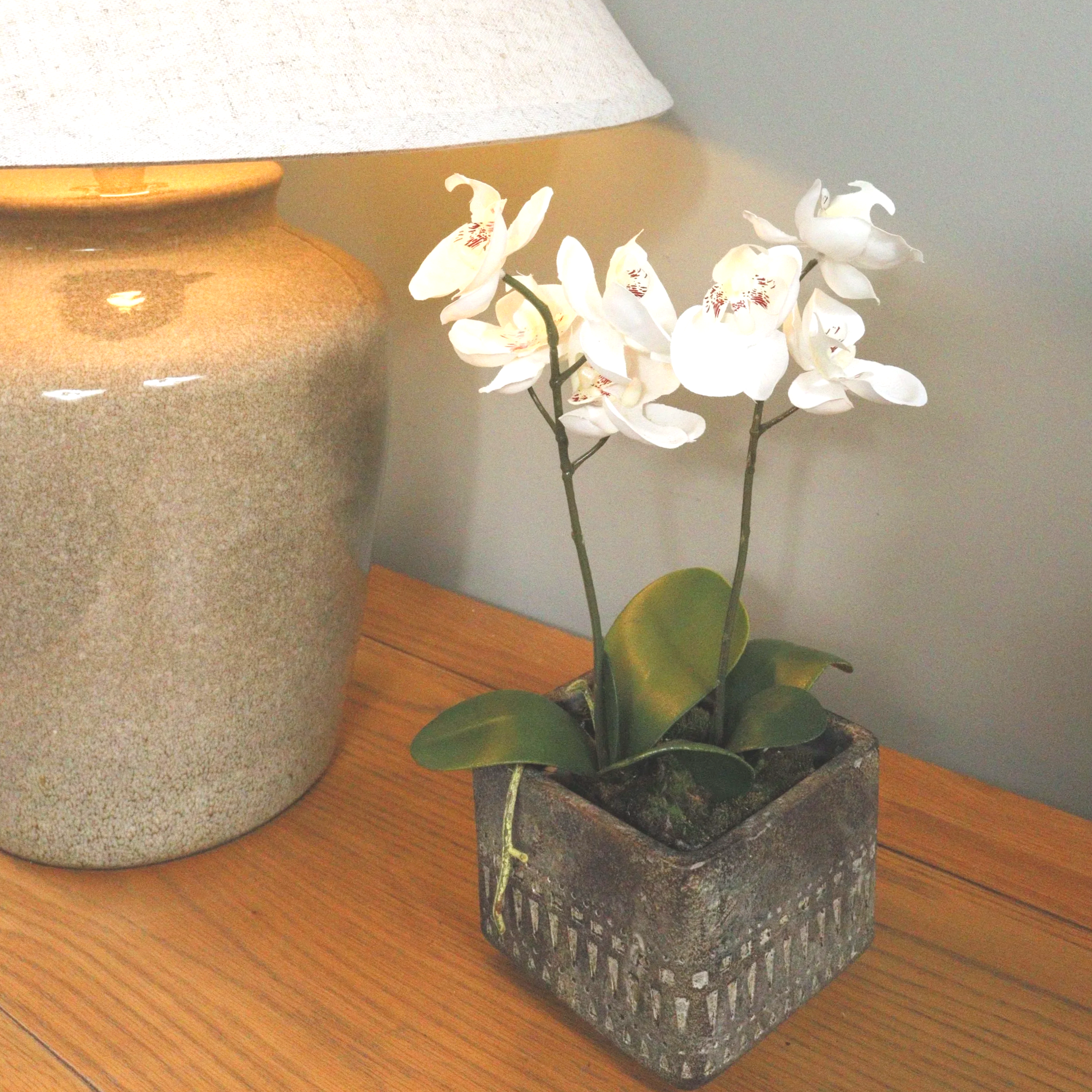 Nahua Square Pot