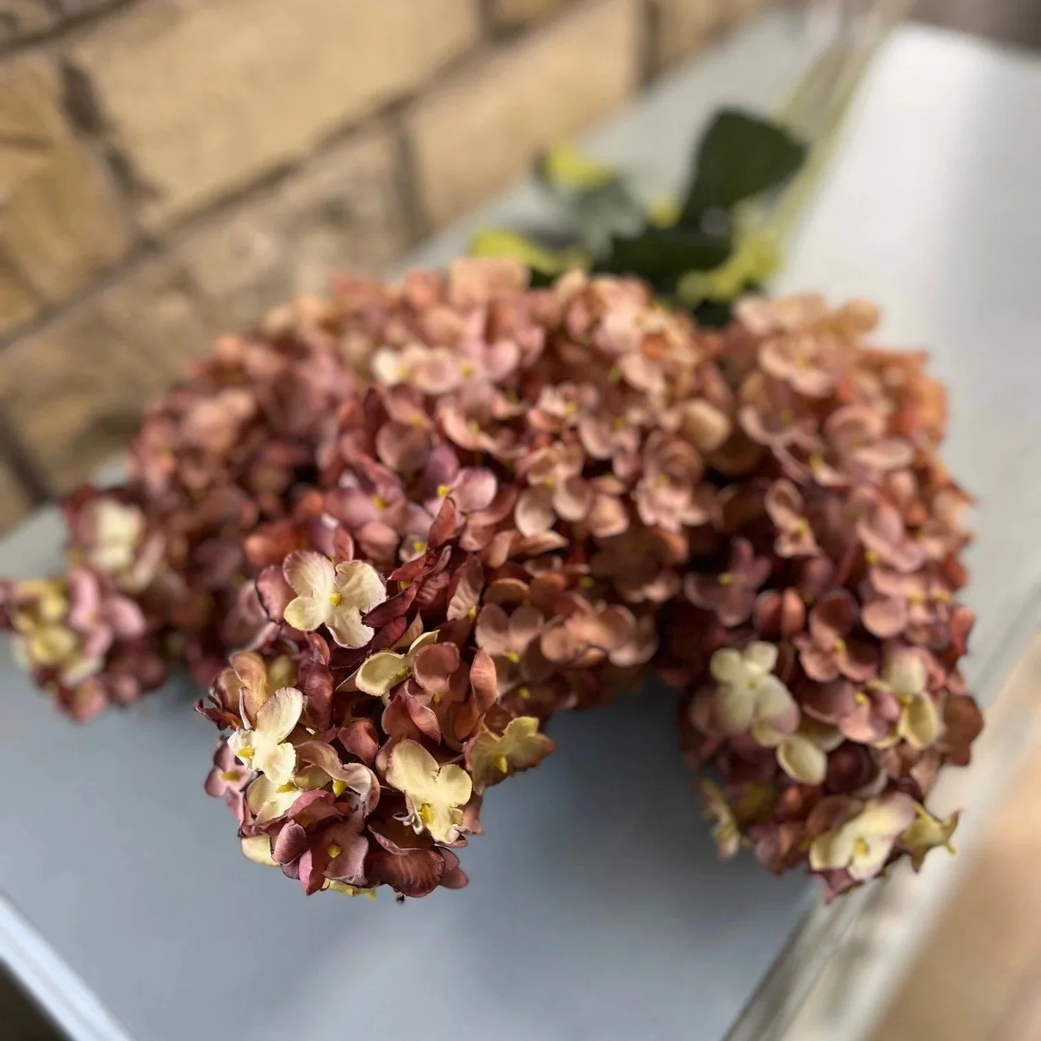 Large Burgundy Spearhead Hydrangea Stem